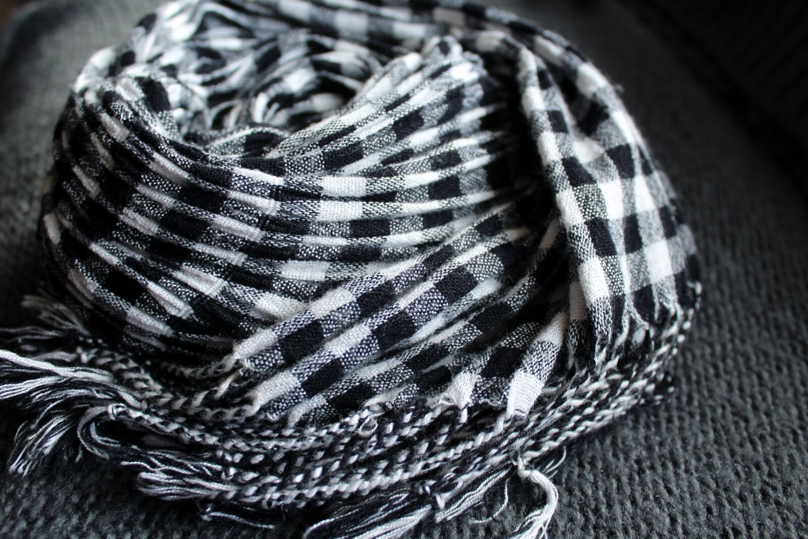 Canon EOS 1200D (EOS Rebel T5 / EOS Kiss X70 / EOS Hi) sample photo. Scarf, brush, clothing photography