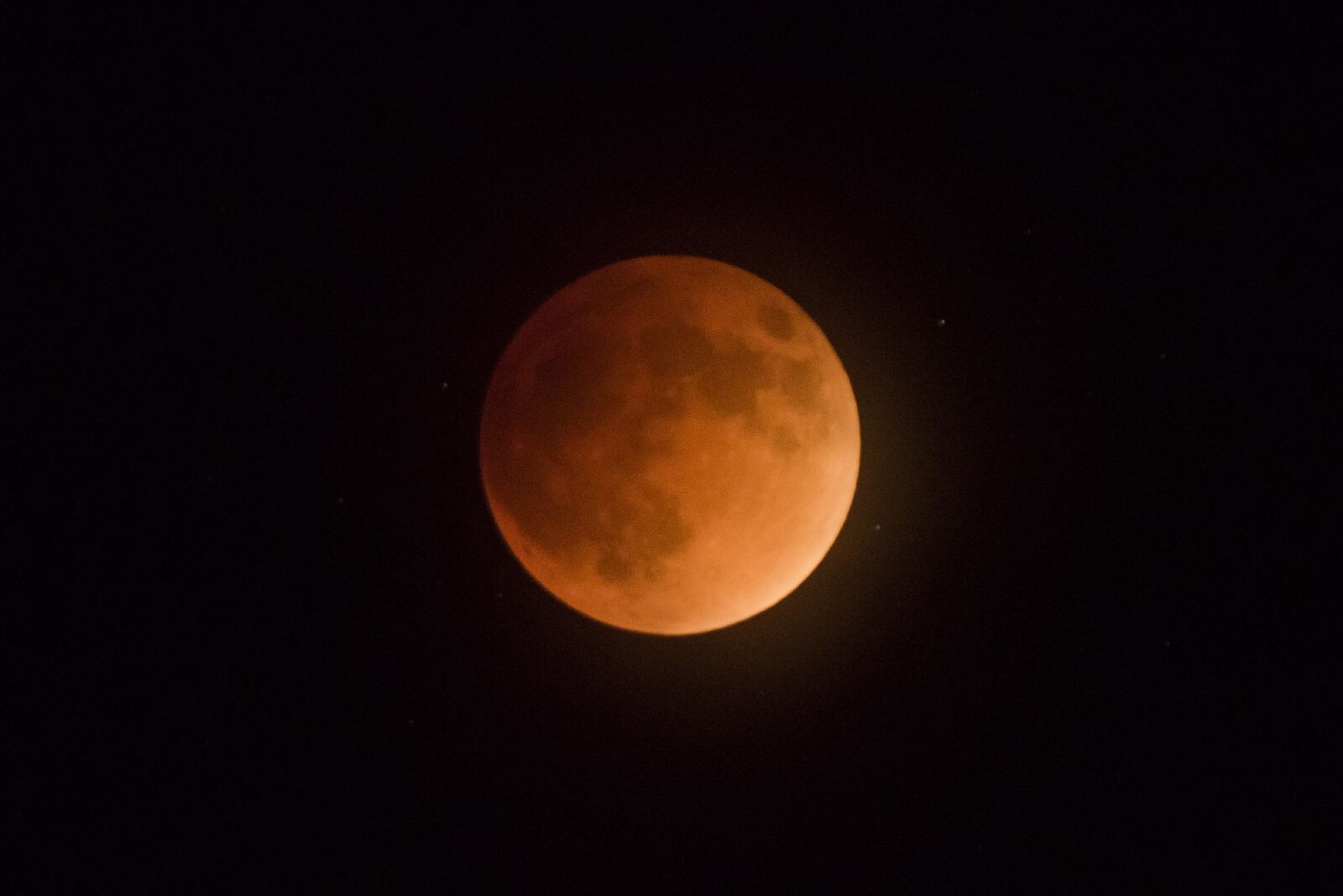 Nikon D810 sample photo. Blood moon, eclipse, full photography