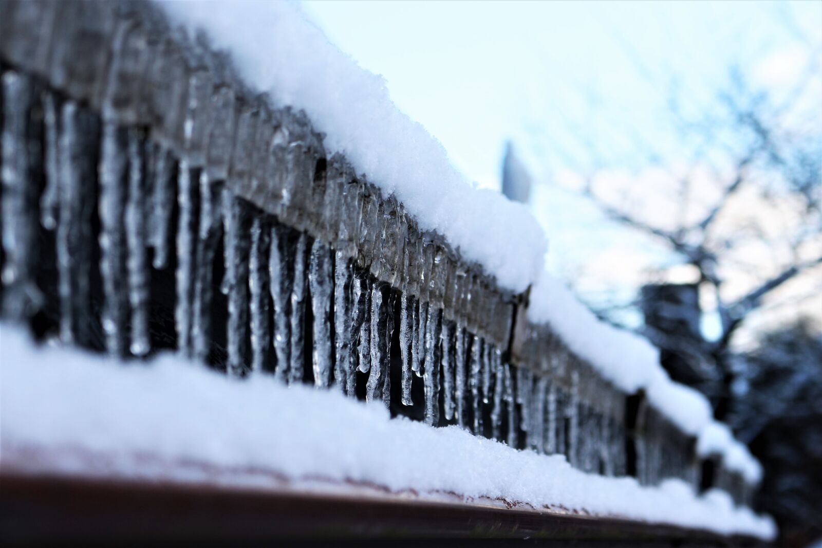 Canon EOS 700D (EOS Rebel T5i / EOS Kiss X7i) sample photo. Icicle, icicles on rain photography