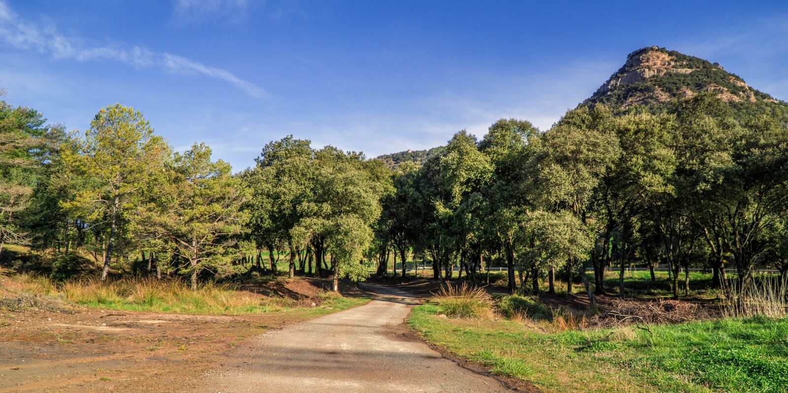 Sony a6000 + Sony E PZ 18-105mm F4 G OSS sample photo. Rural tourism, catalunya, nature photography