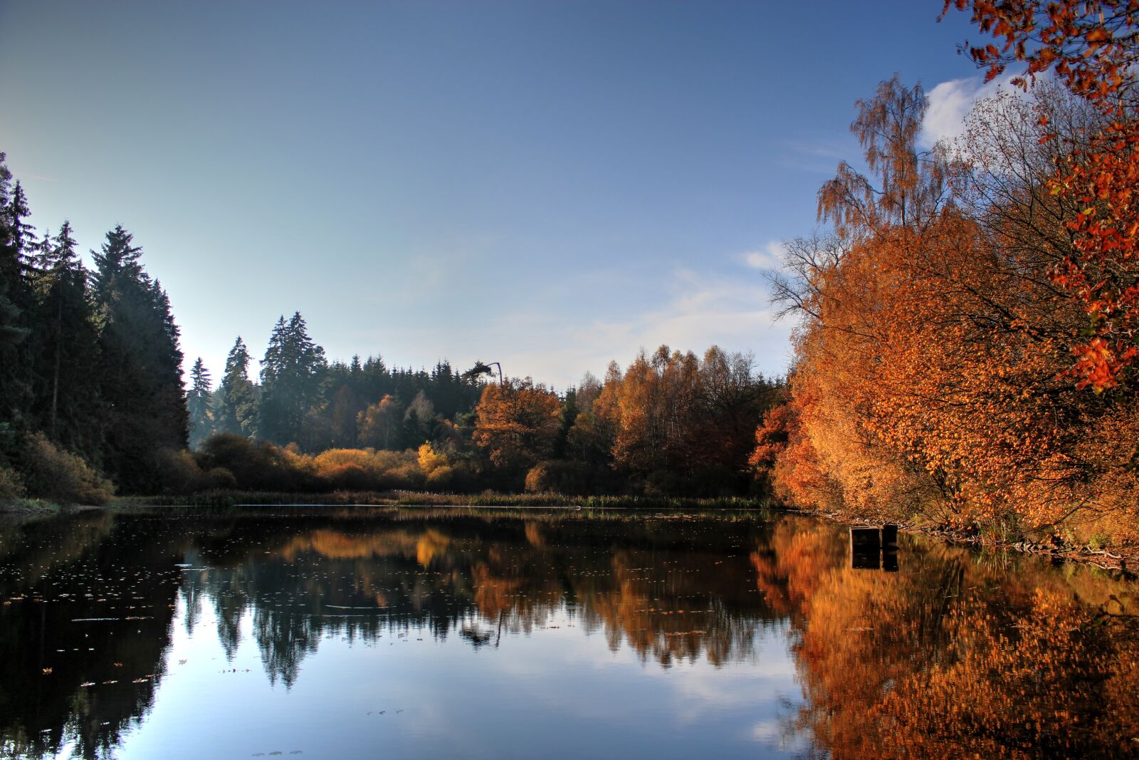 Canon EOS 550D (EOS Rebel T2i / EOS Kiss X4) sample photo. Lake, waldsee, water photography