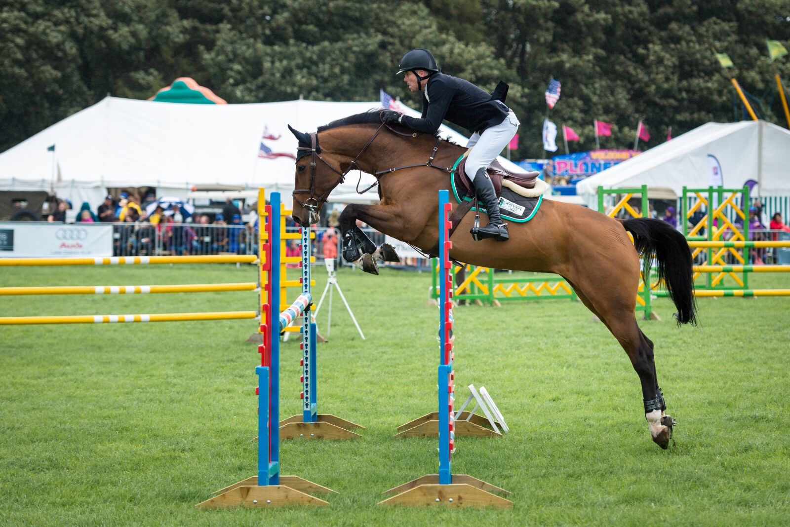 Nikon D600 sample photo. Horse, jumping, equine photography
