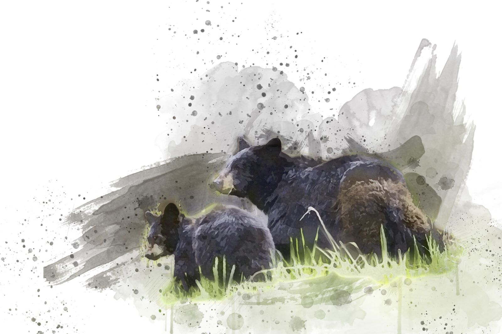 Canon EF 100-400mm F4.5-5.6L IS USM sample photo. Black bears, walking, wildlife photography