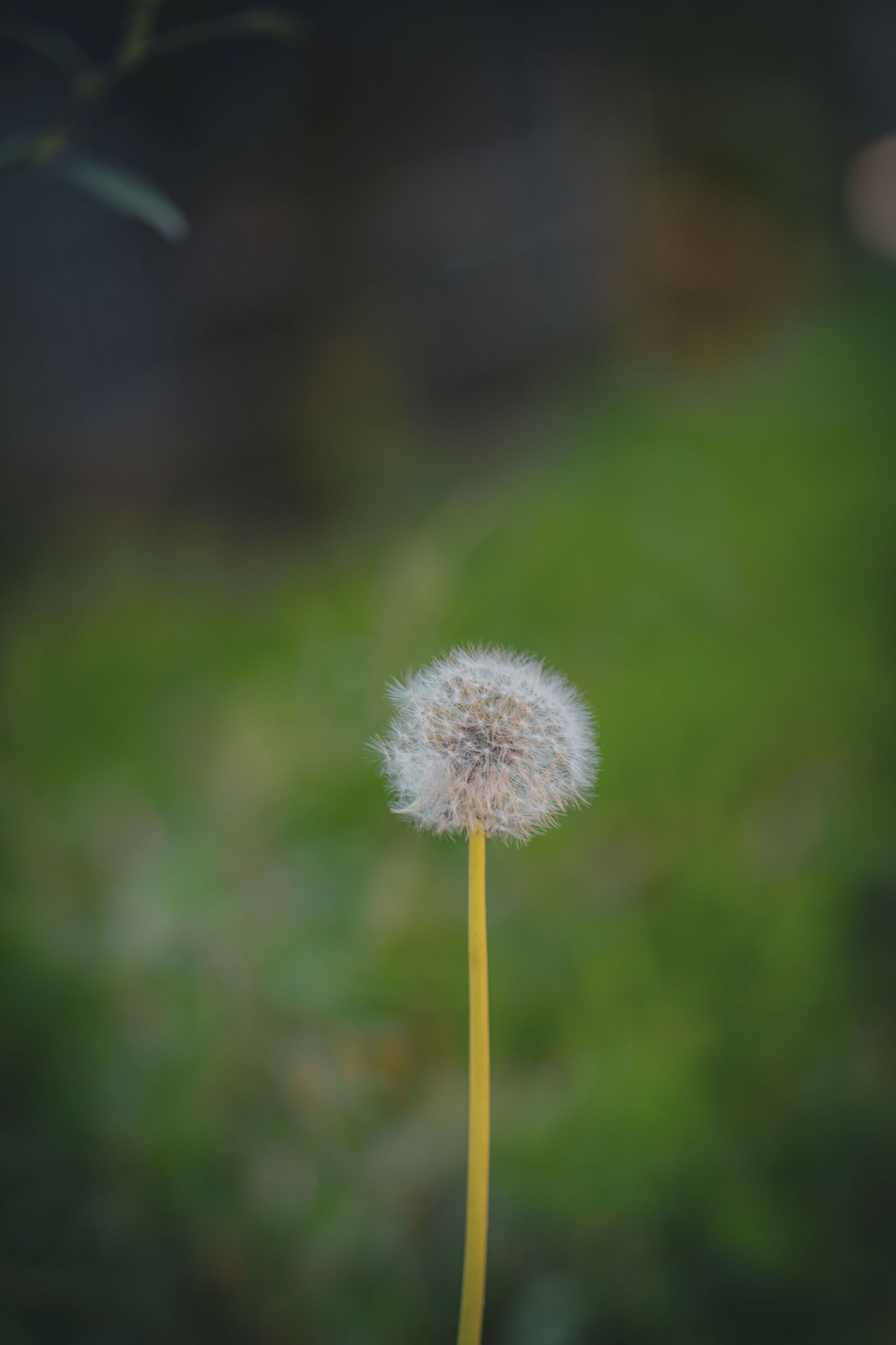 Sony a7 III + Sony FE 24-105mm F4 G OSS sample photo