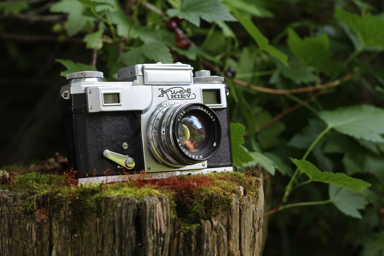 Canon EOS 600D (Rebel EOS T3i / EOS Kiss X5) + Canon EF 50mm F1.8 II sample photo. Camera, vintage, kiev photography