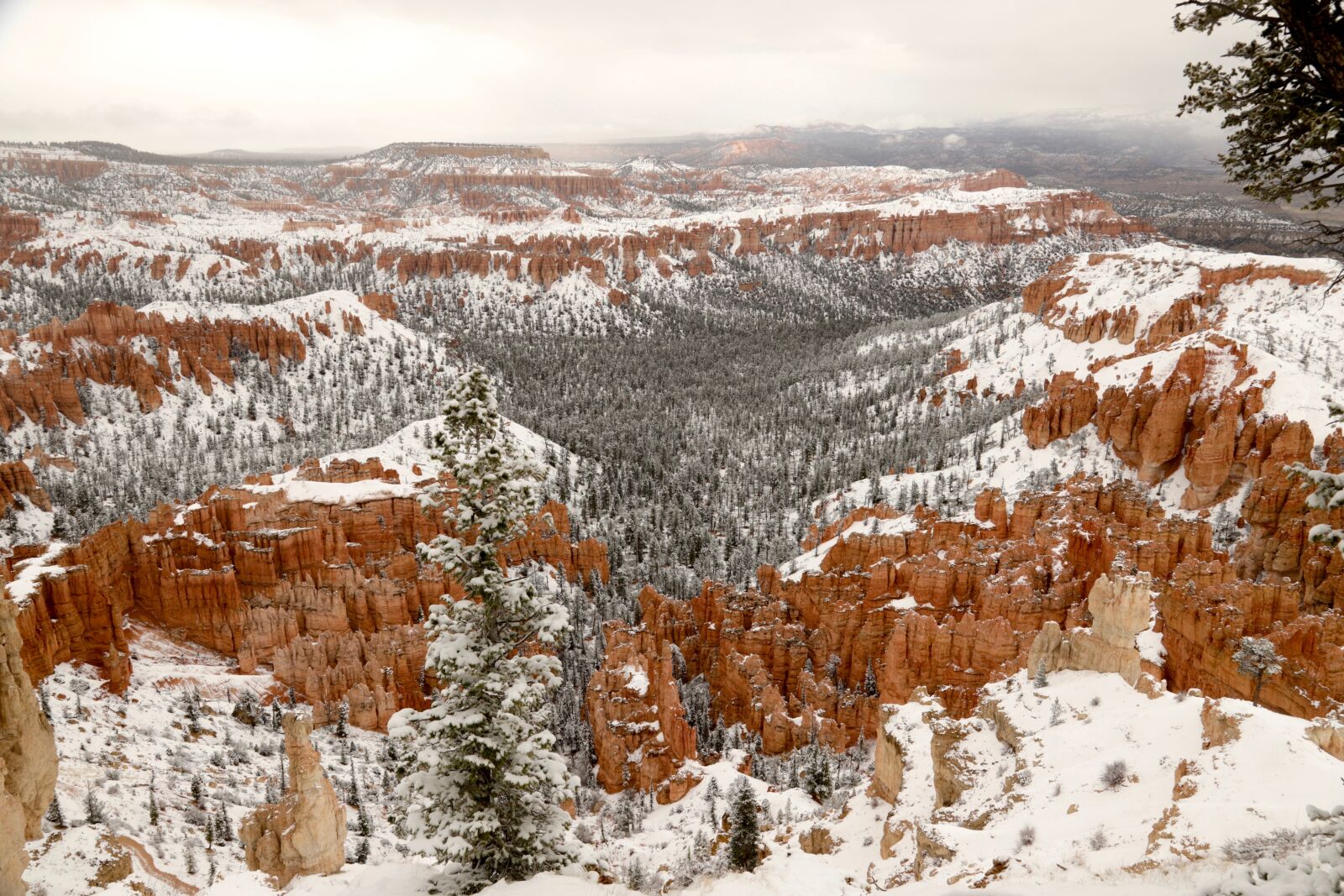 Canon EOS 6D Mark II sample photo. Bryce, canyon, national photography