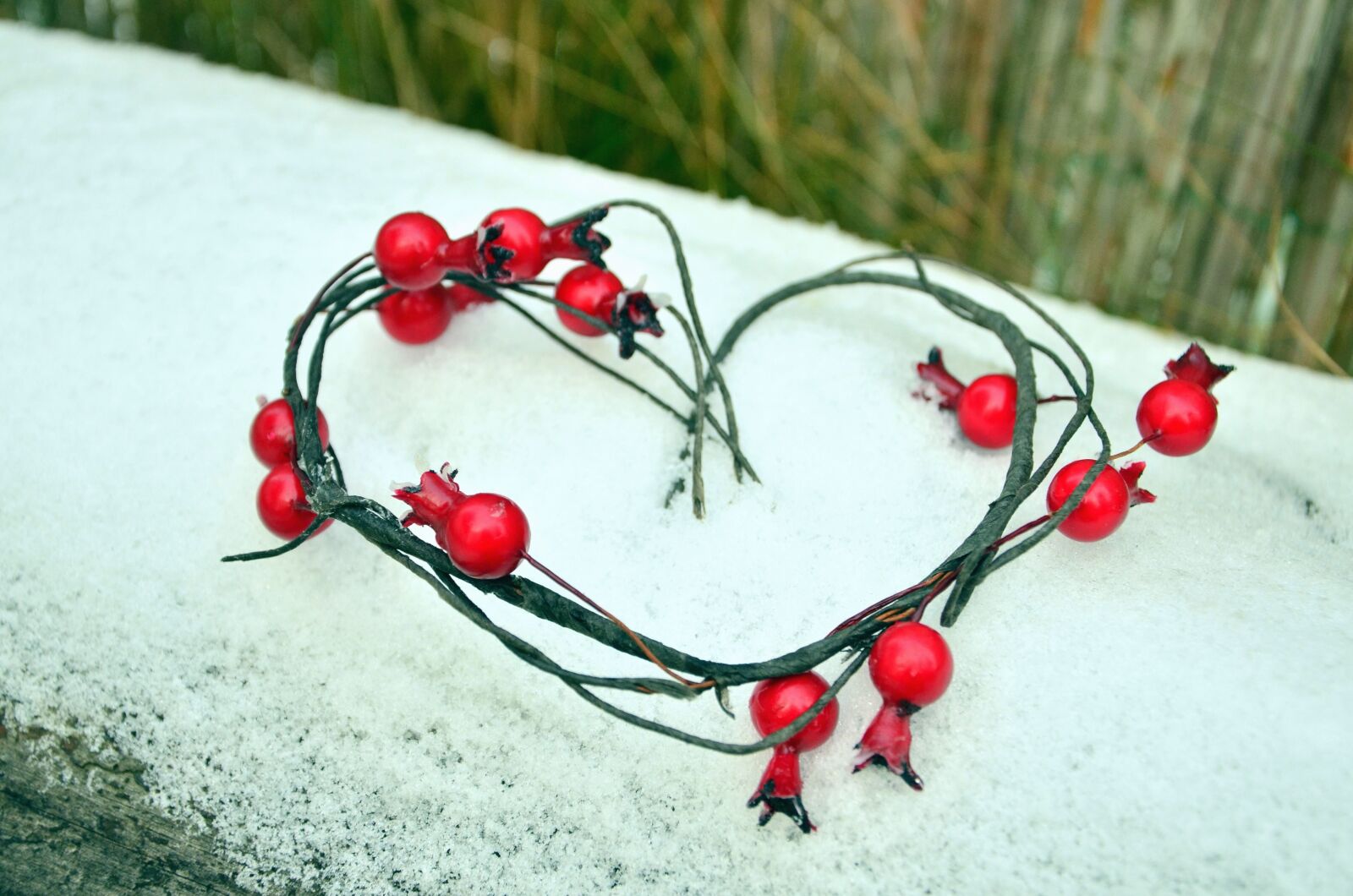 Nikon D5100 sample photo. Rose hip, fruit, heart photography