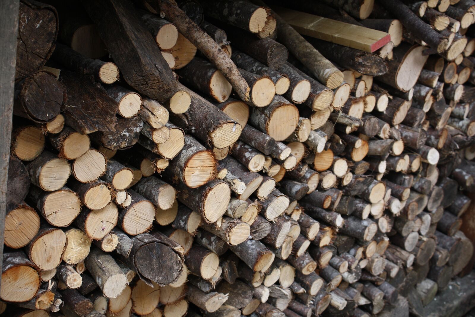 Canon EOS 1000D (EOS Digital Rebel XS / EOS Kiss F) sample photo. Wood, strains, stack photography