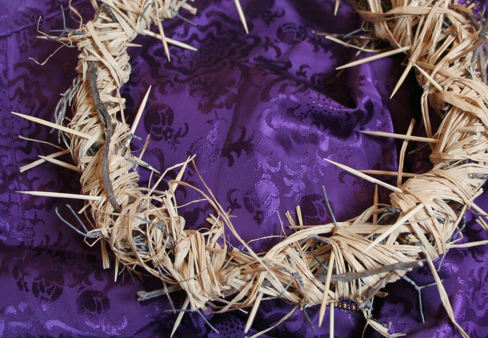 Canon EOS 350D (EOS Digital Rebel XT / EOS Kiss Digital N) sample photo. Crown of thorns, jesus photography