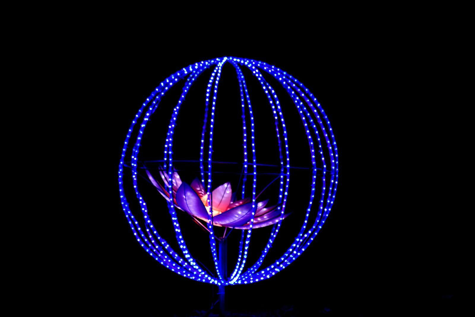 Nikon D5500 sample photo. Art, blue, flower, illuminated photography