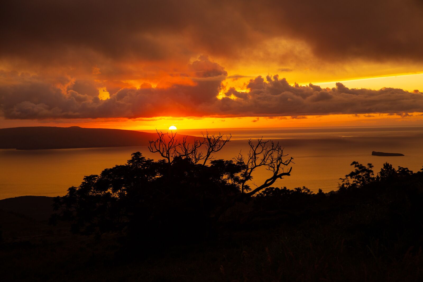 Canon EF 24-70mm F2.8L II USM sample photo. Sunset, hawaii, tropicale photography