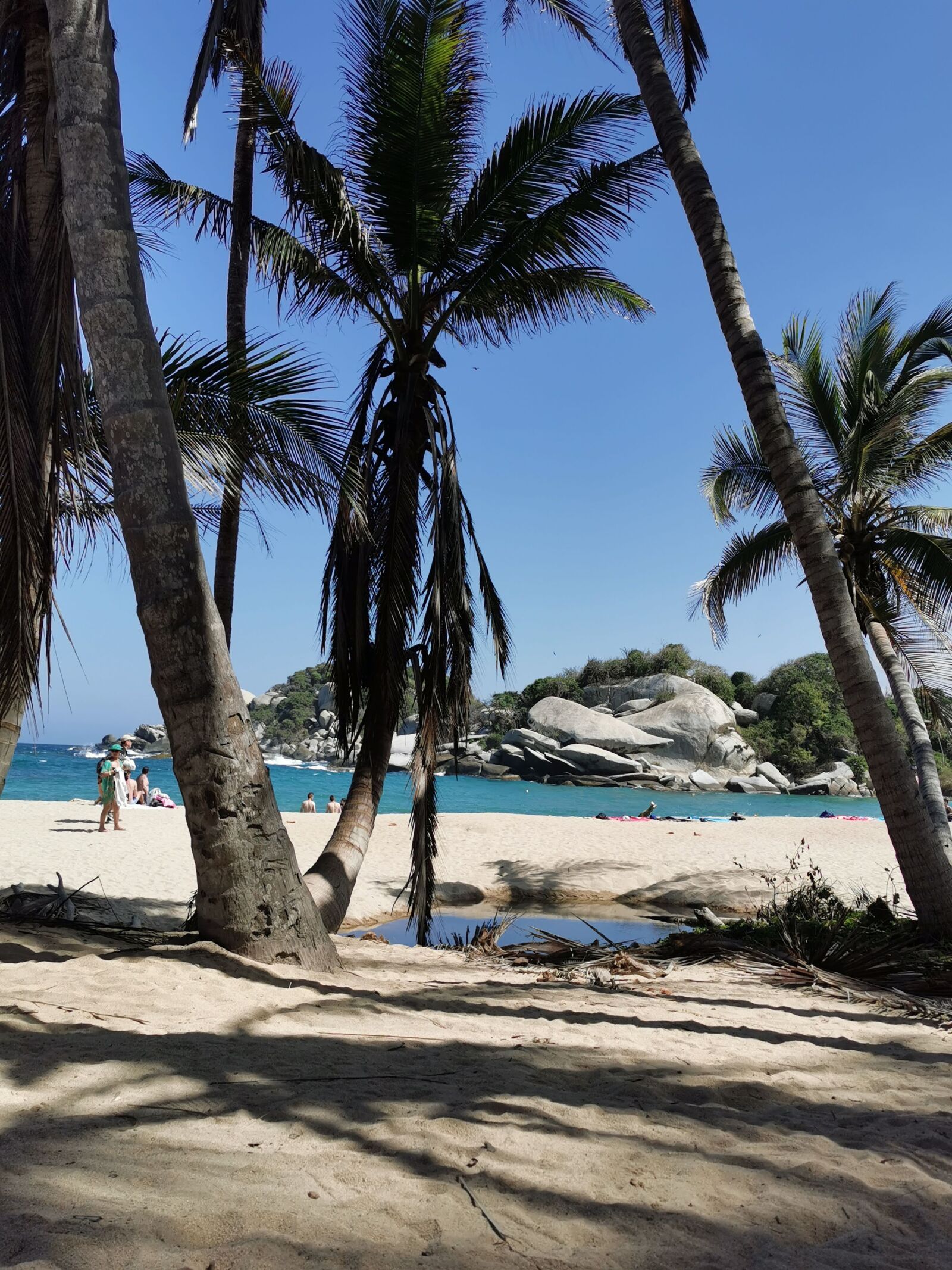 HUAWEI P30 Pro sample photo. Colombia, tayrona park, tropic photography