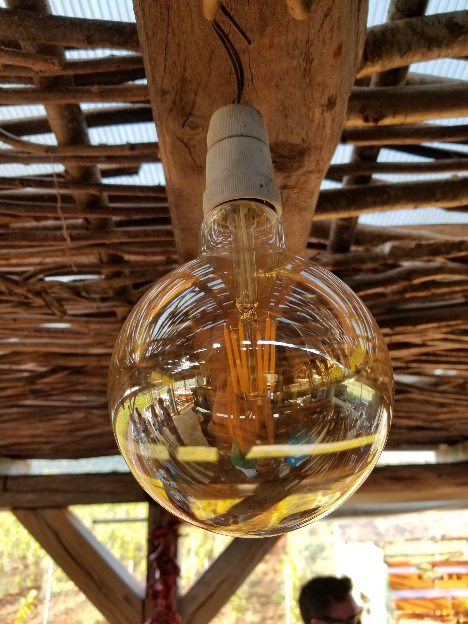 Samsung Galaxy S8 sample photo. Light bulb, colors, wood photography