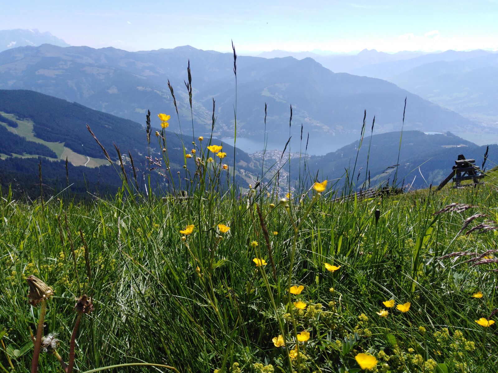 HUAWEI Y6 PRIME 2018 sample photo. Cell at sea, austria photography