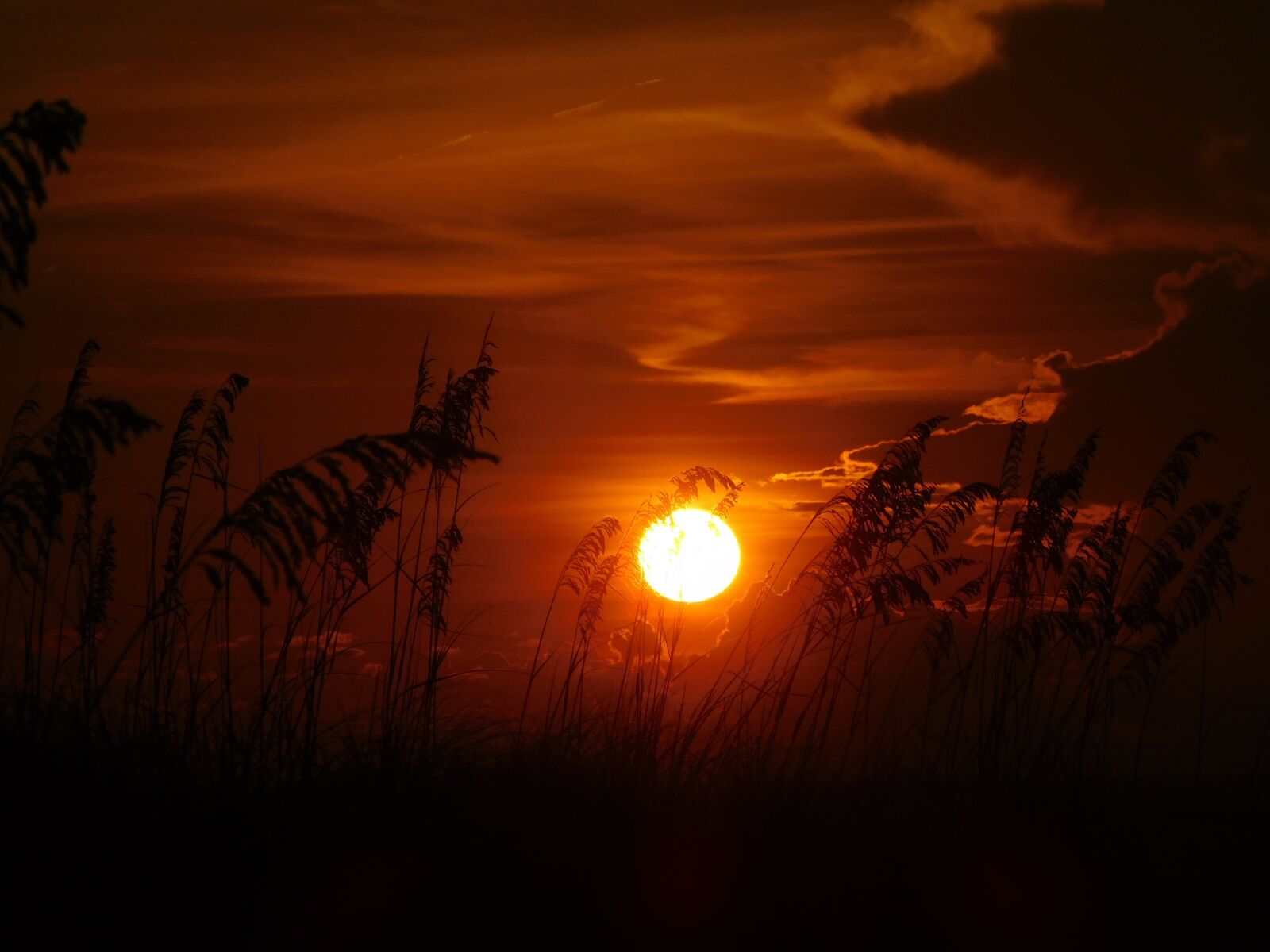 Nikon Coolpix S7000 sample photo. Sunset, evening, sky photography