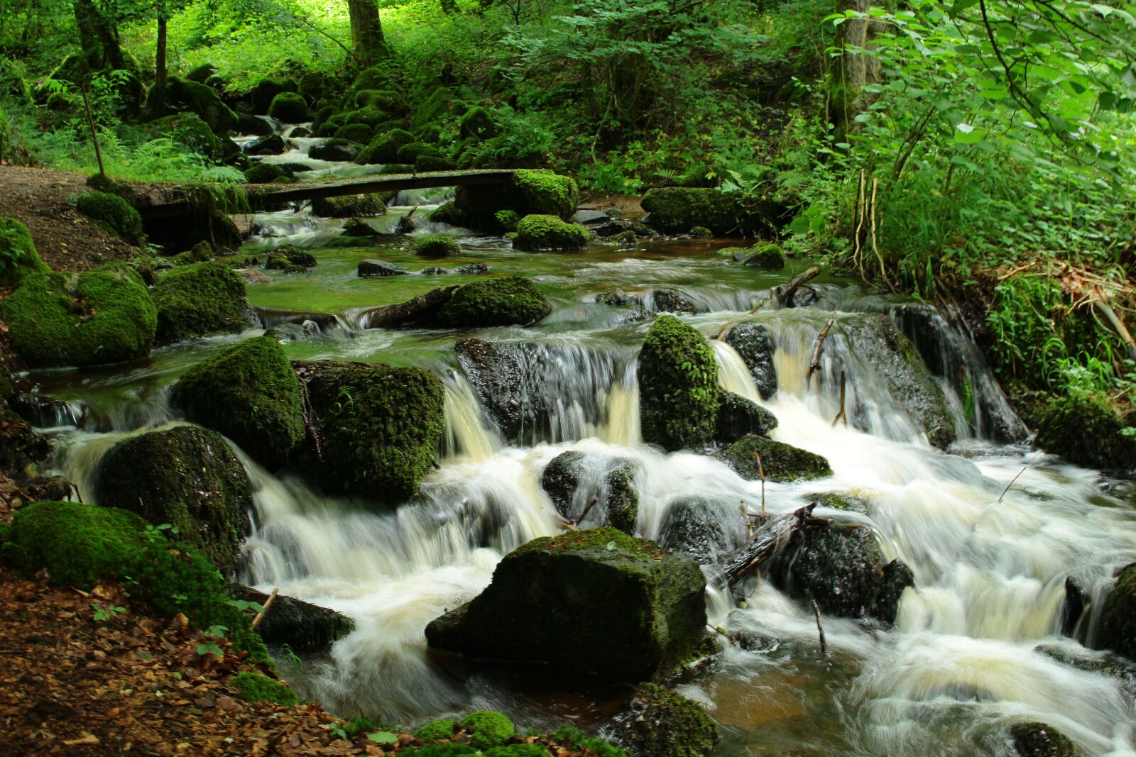 Canon EOS 100D (EOS Rebel SL1 / EOS Kiss X7) sample photo. Cascade, summer, nature photography