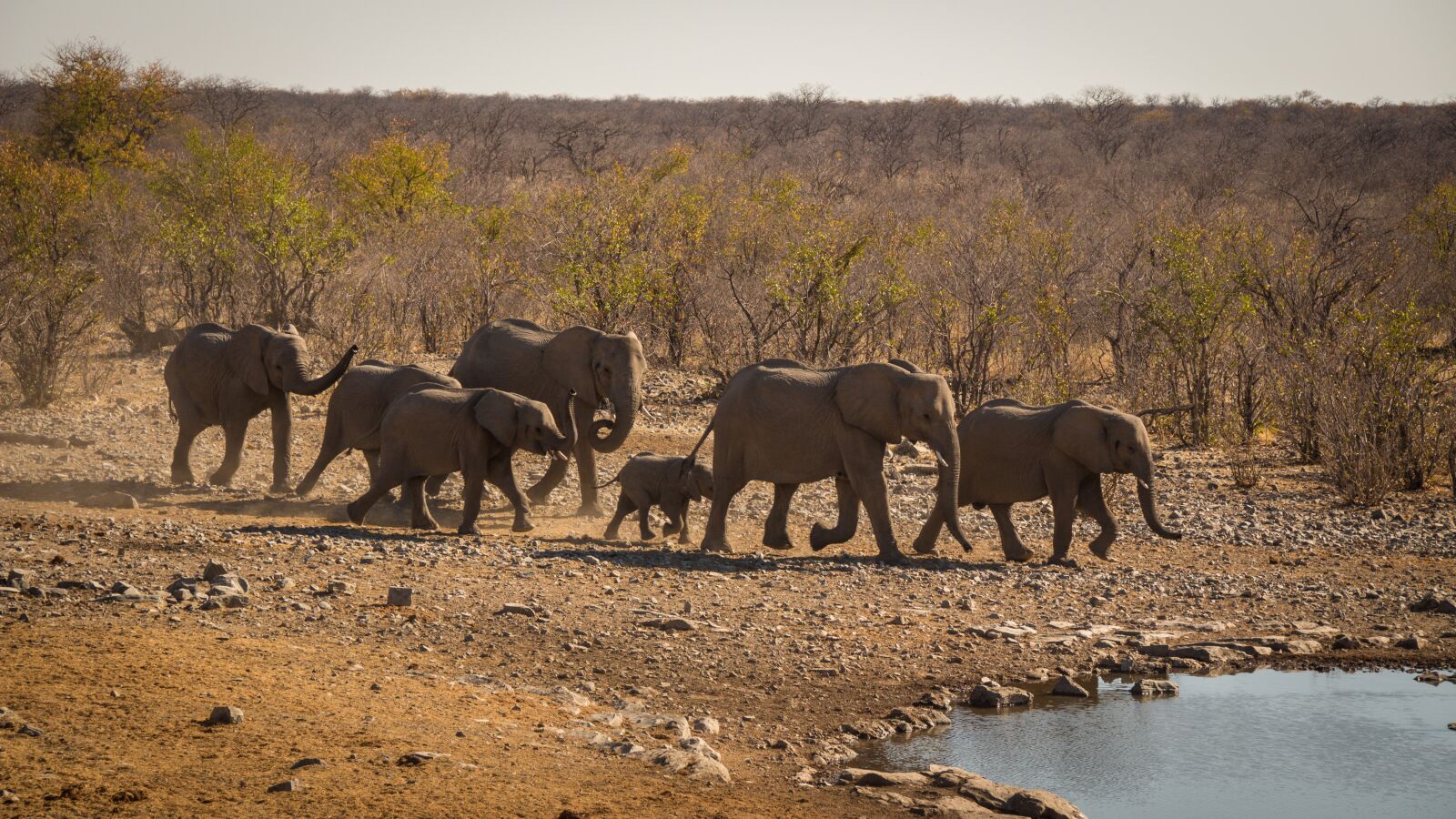 Canon EOS 650D (EOS Rebel T4i / EOS Kiss X6i) sample photo. Namibia, namib, outdoors photography