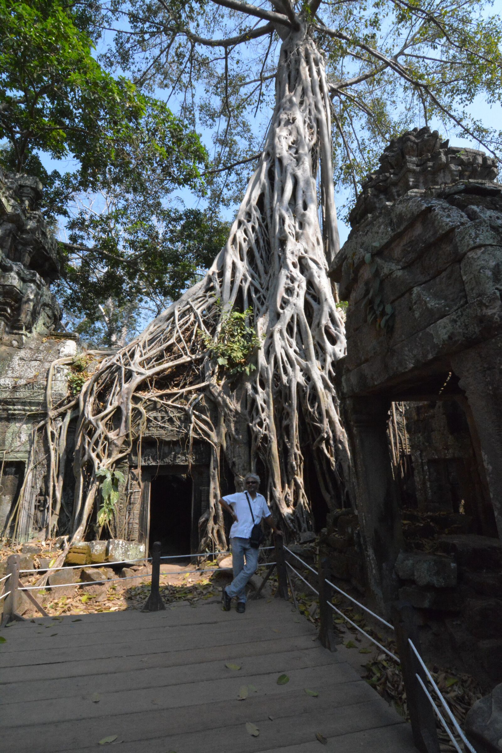 Nikon D7100 sample photo