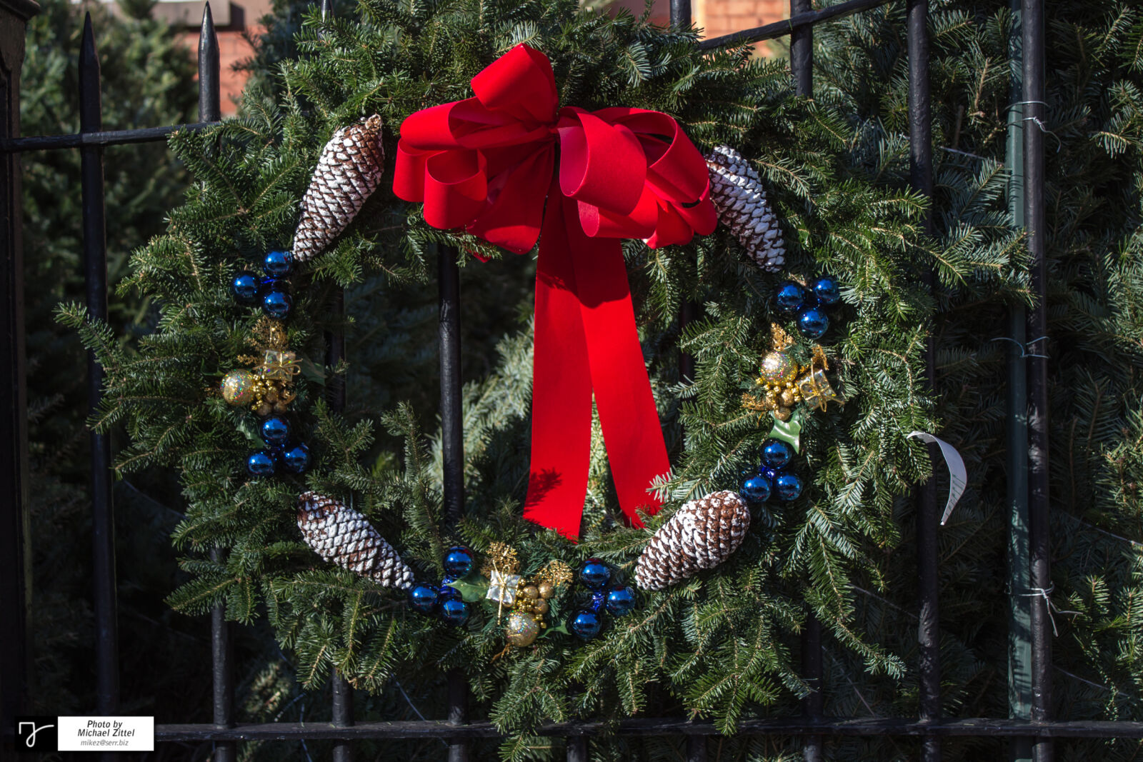 Canon EOS 600D (Rebel EOS T3i / EOS Kiss X5) sample photo. Close, up, of, christmas photography