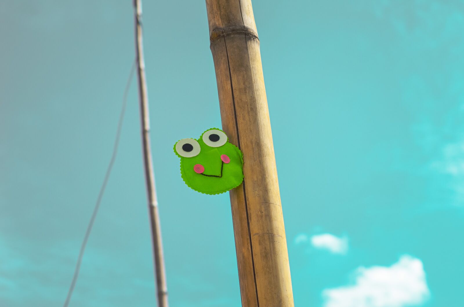 Nikon D5100 sample photo. Expression, green, sky photography