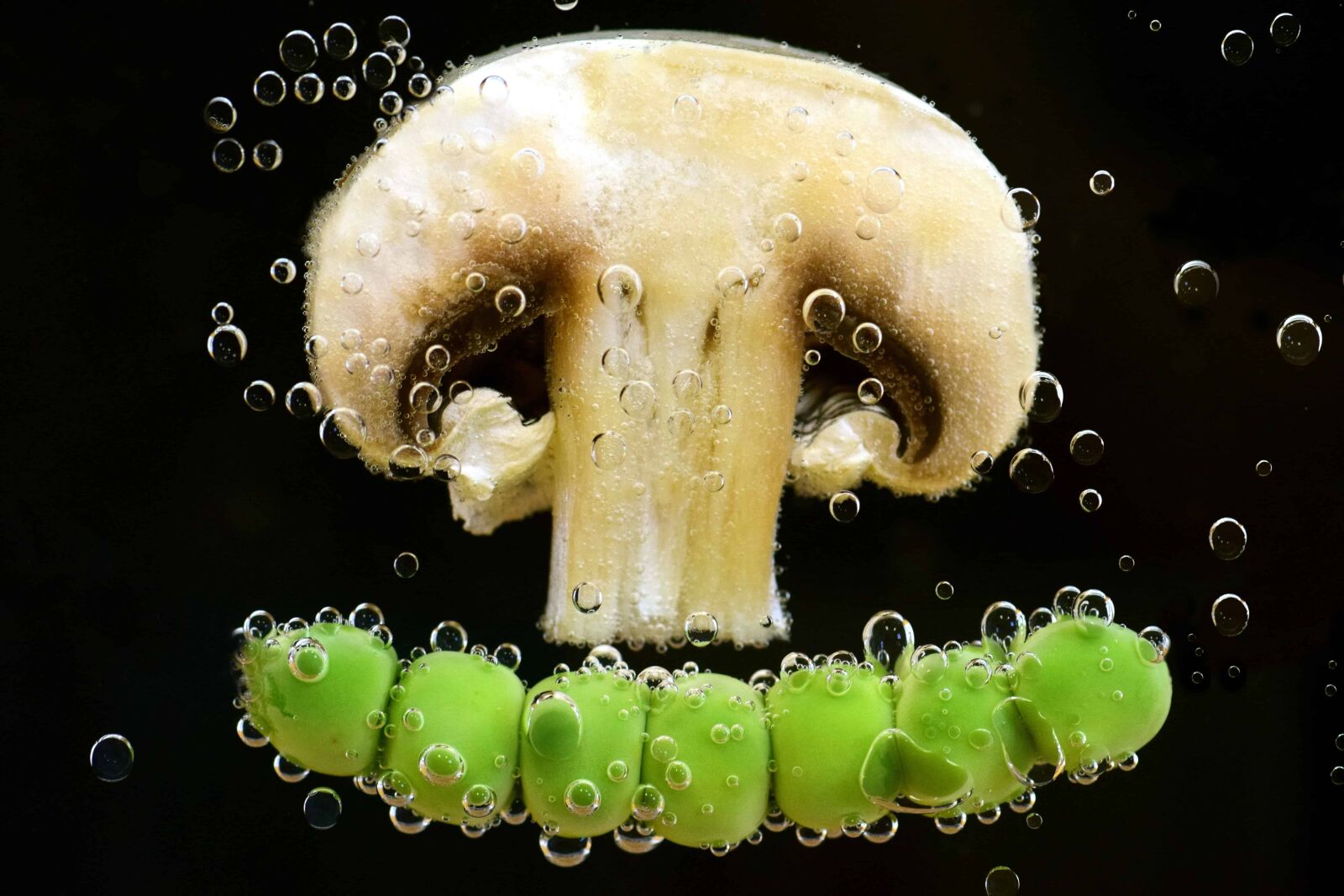 Nikon D3300 sample photo. Mushroom, water, bubble, underwater photography
