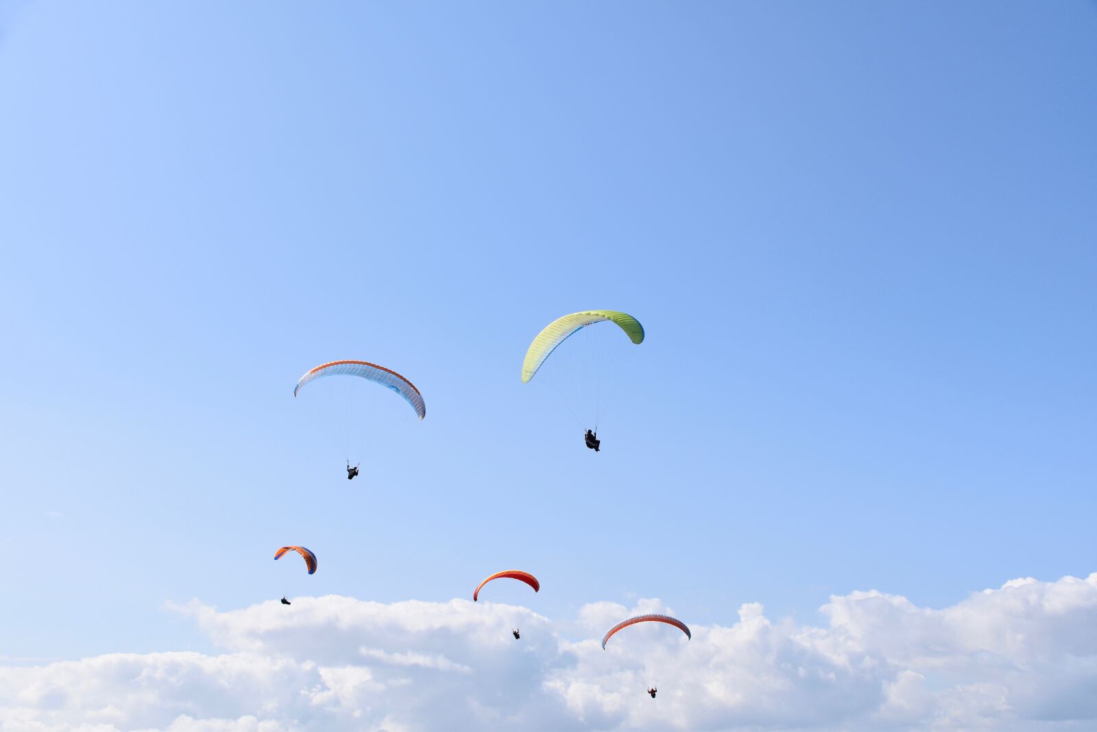 Nikon D5600 sample photo. Paragliders, fly, aircraft photography