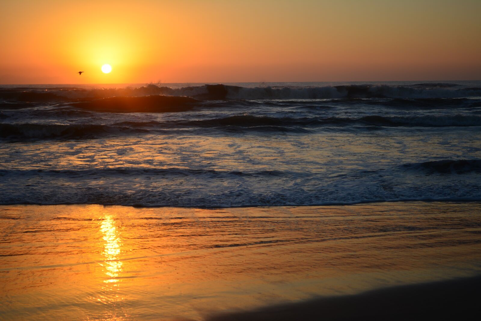 Nikon D5200 sample photo. Beach, sol, mar photography
