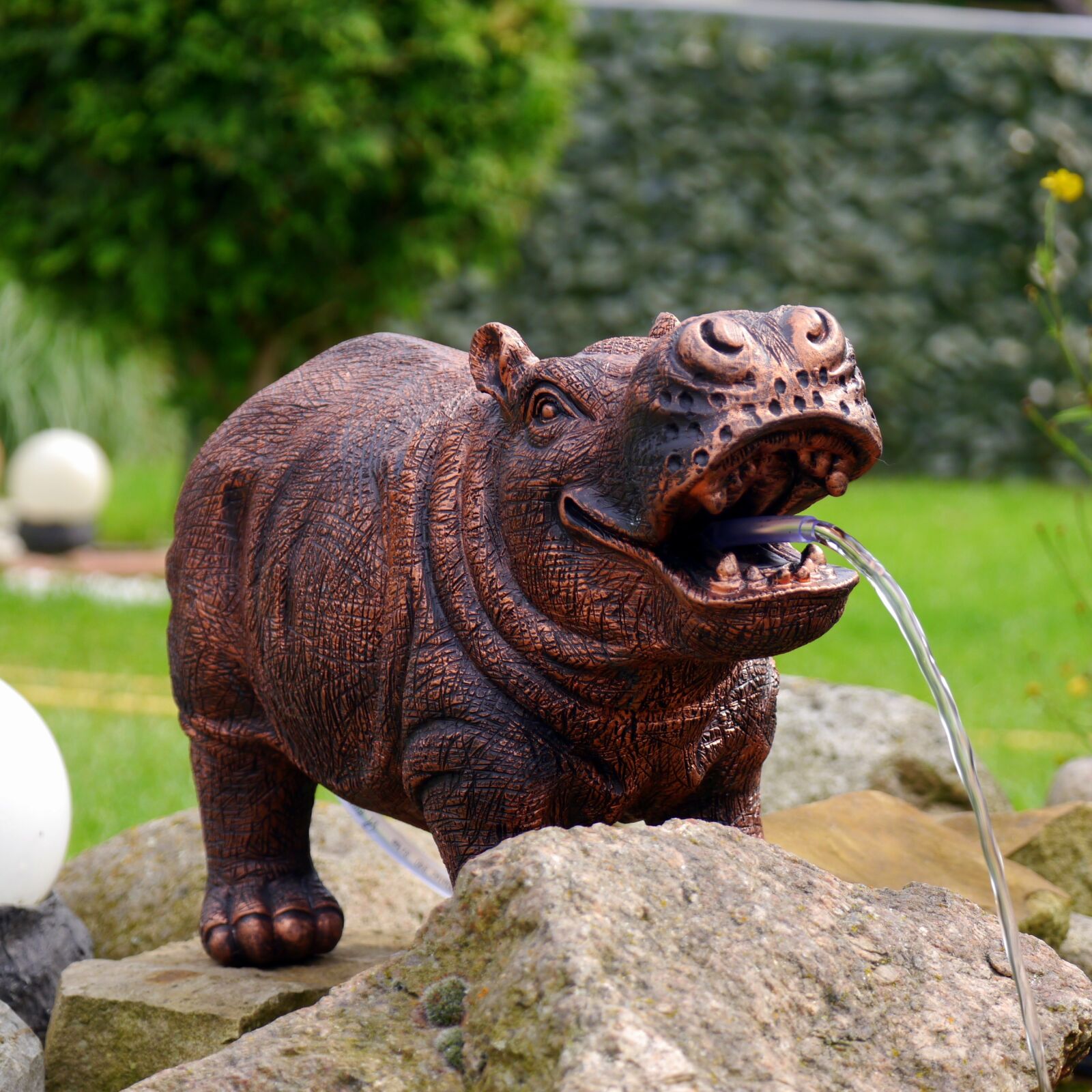Panasonic Lumix DMC-G5 sample photo. Garden, water, hippo photography