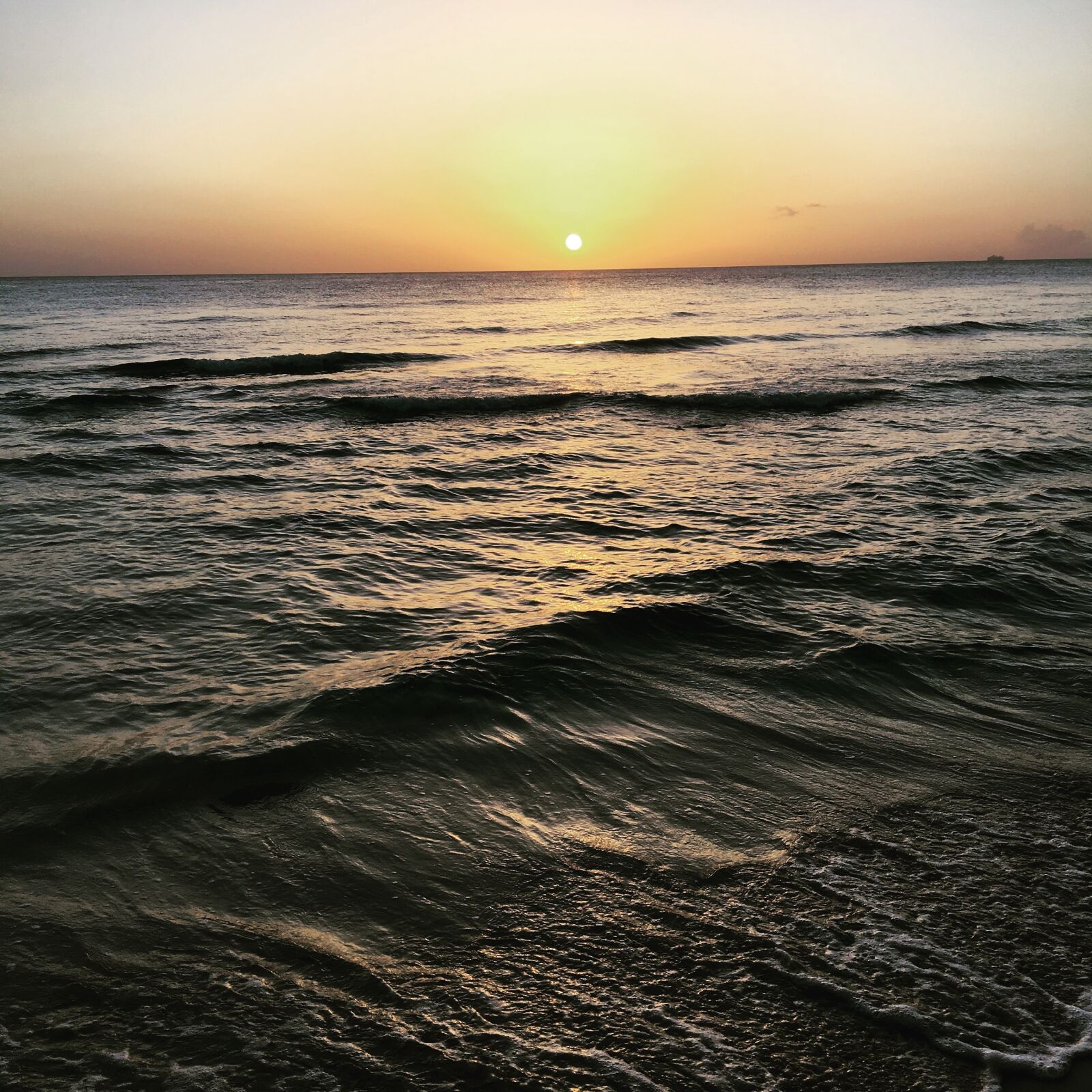 Apple iPhone 6s sample photo