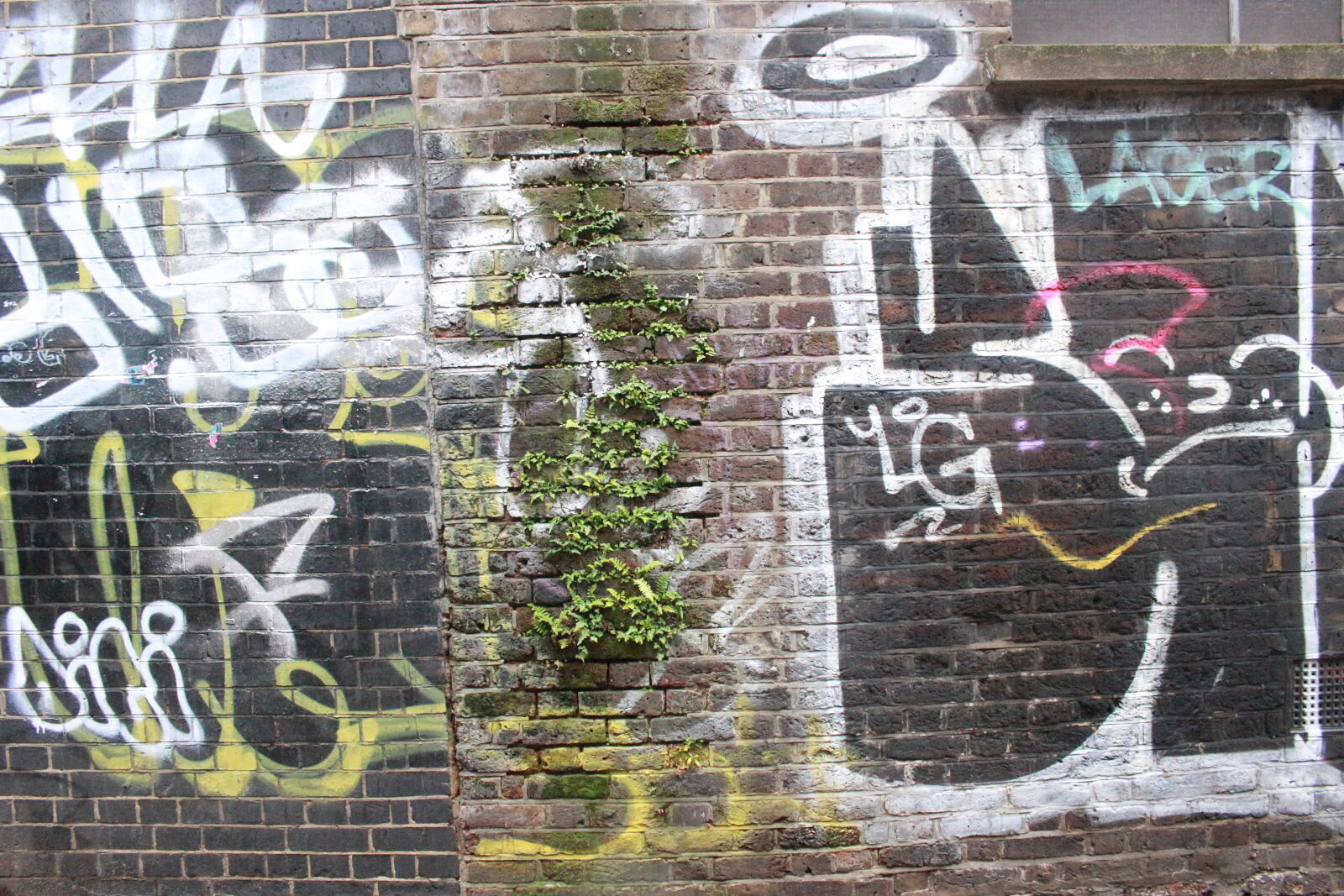 Canon EOS 100D (EOS Rebel SL1 / EOS Kiss X7) sample photo. Art, brick, wall, graffiti photography