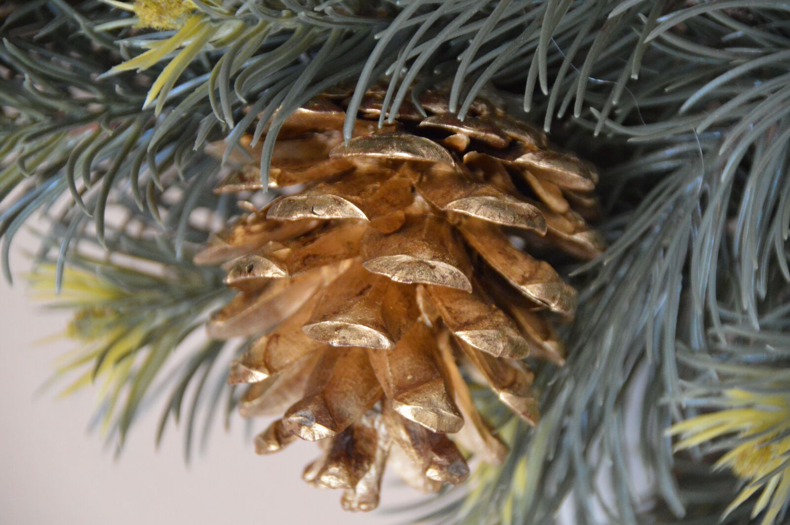 Nikon D3200 sample photo. Christmas, tree, pine photography