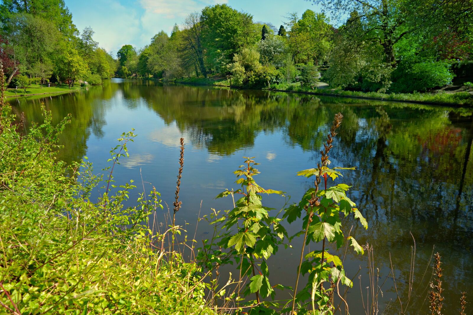 Sony Cyber-shot DSC-RX100 sample photo. Canal, waterway, reflection photography