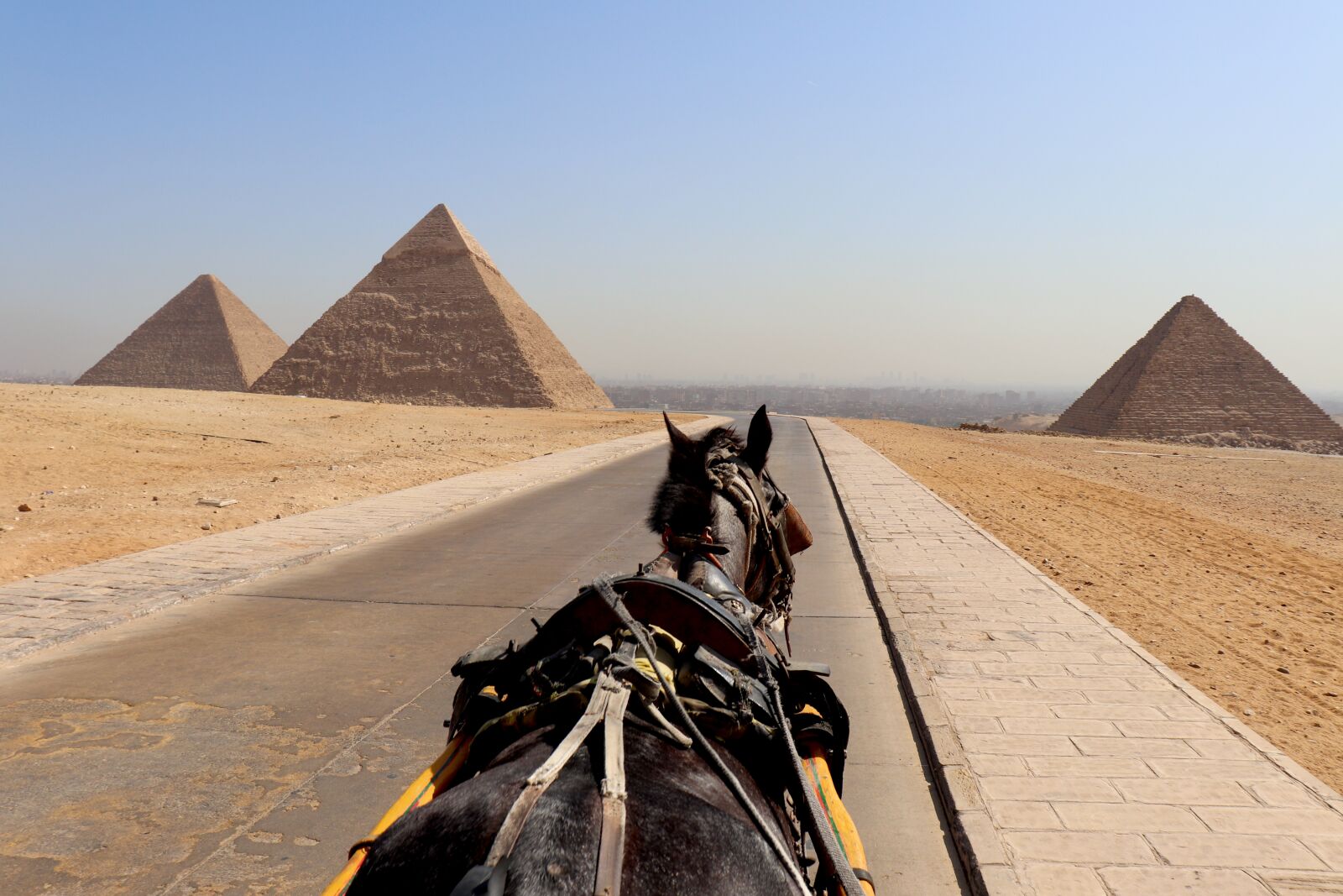 Canon EOS 800D (EOS Rebel T7i / EOS Kiss X9i) + Canon EF-S 18-55mm F4-5.6 IS STM sample photo. Cairo, pyramid, horse photography