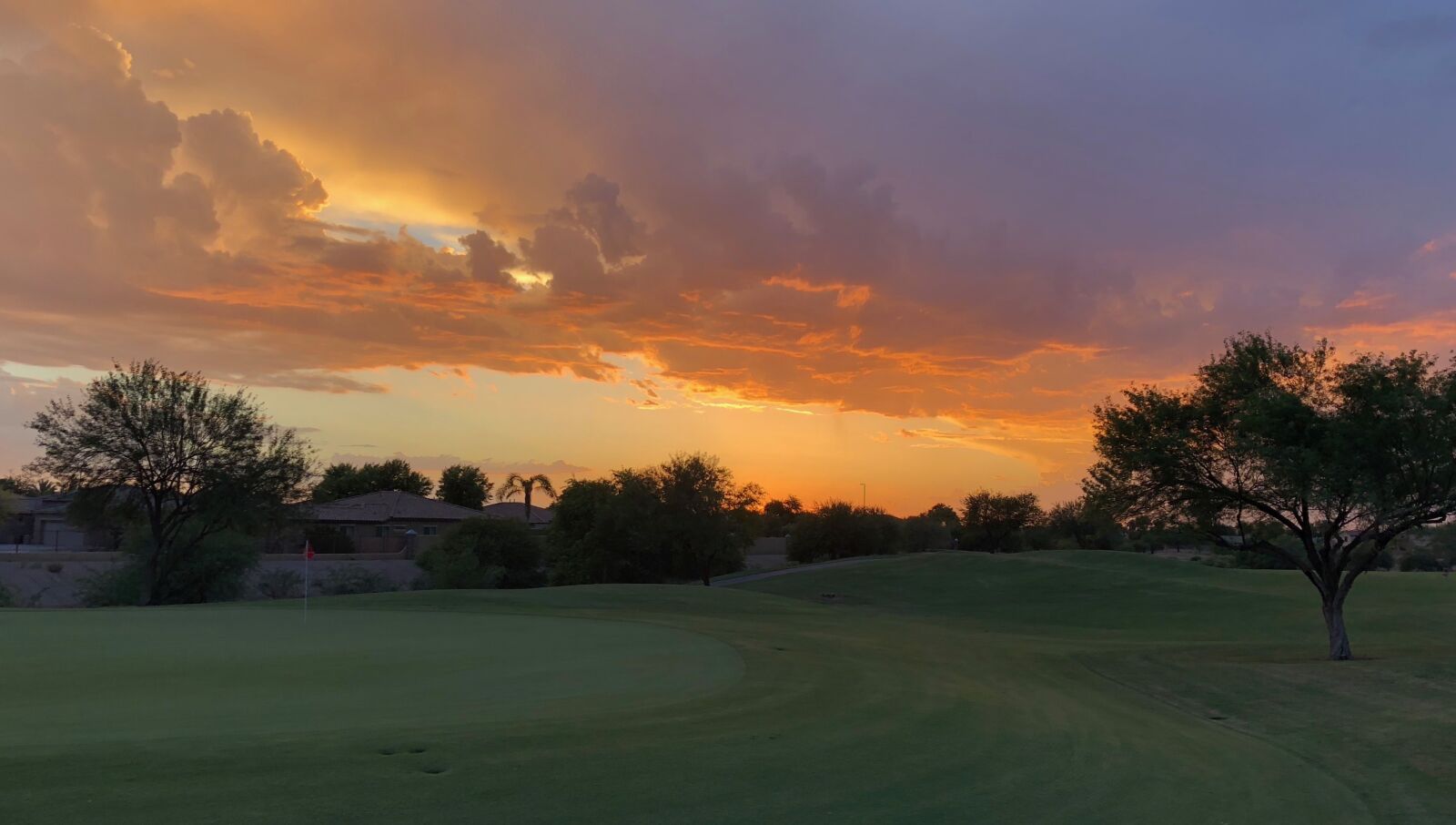 iPhone 8 back camera 3.99mm f/1.8 sample photo. Arizona, golf, sunset photography