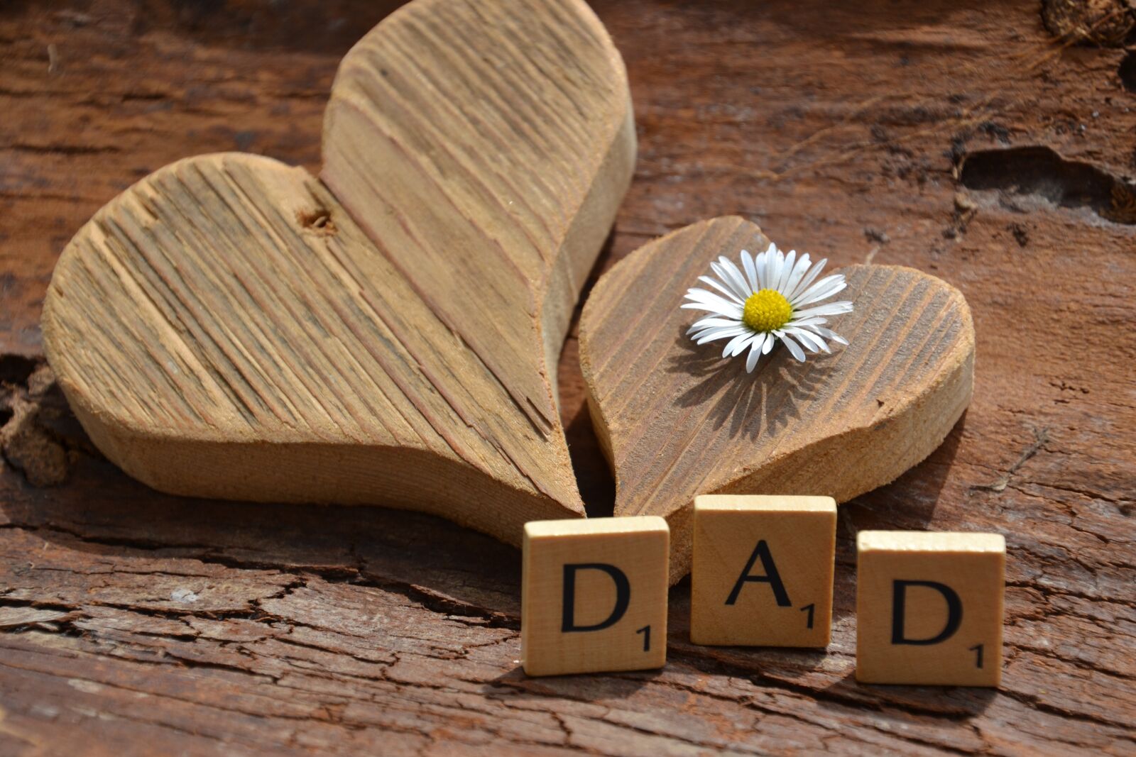 Nikon D3100 sample photo. Father's day, love, thank photography