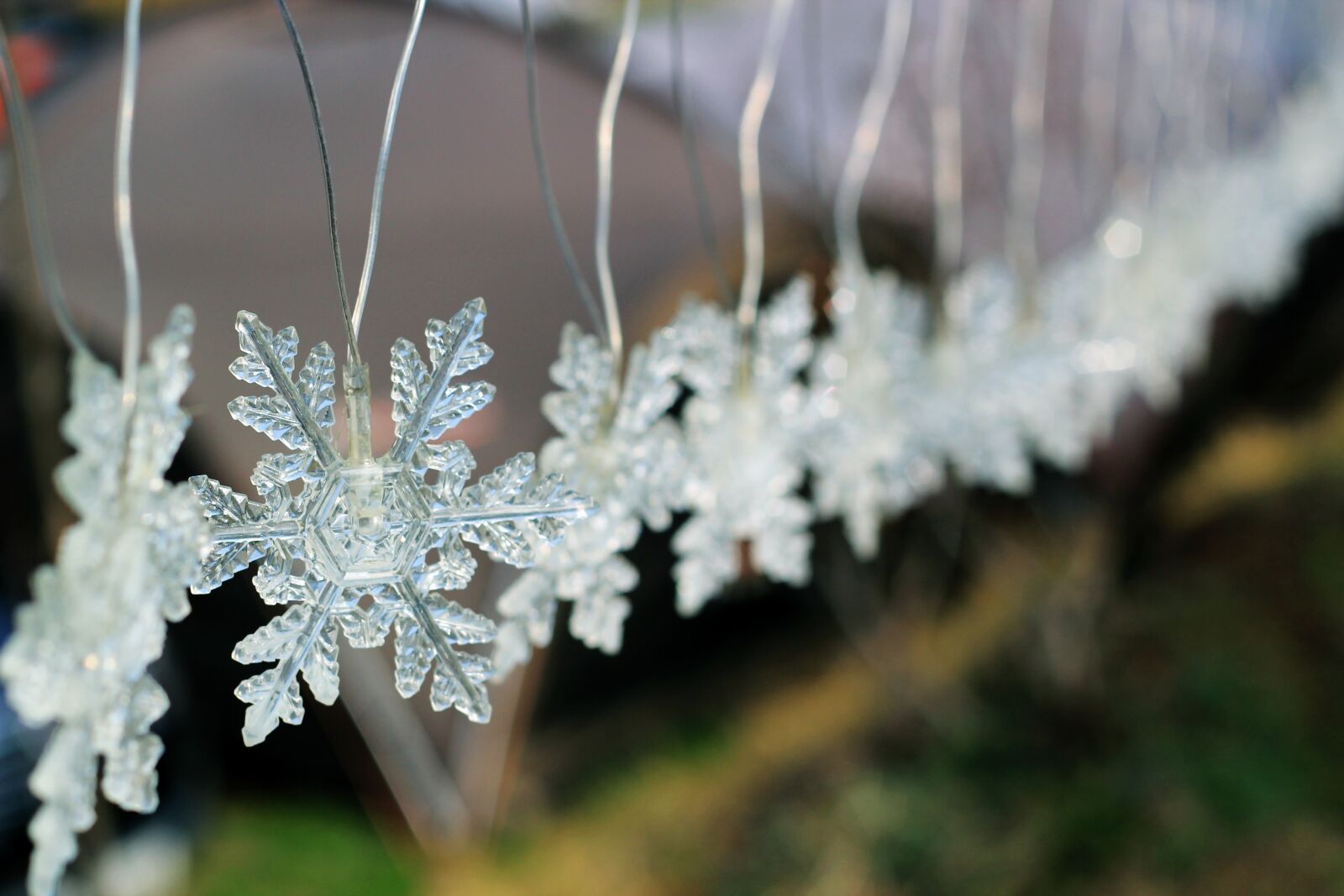 Canon EOS 550D (EOS Rebel T2i / EOS Kiss X4) sample photo. Winter, snow flower, lighting photography