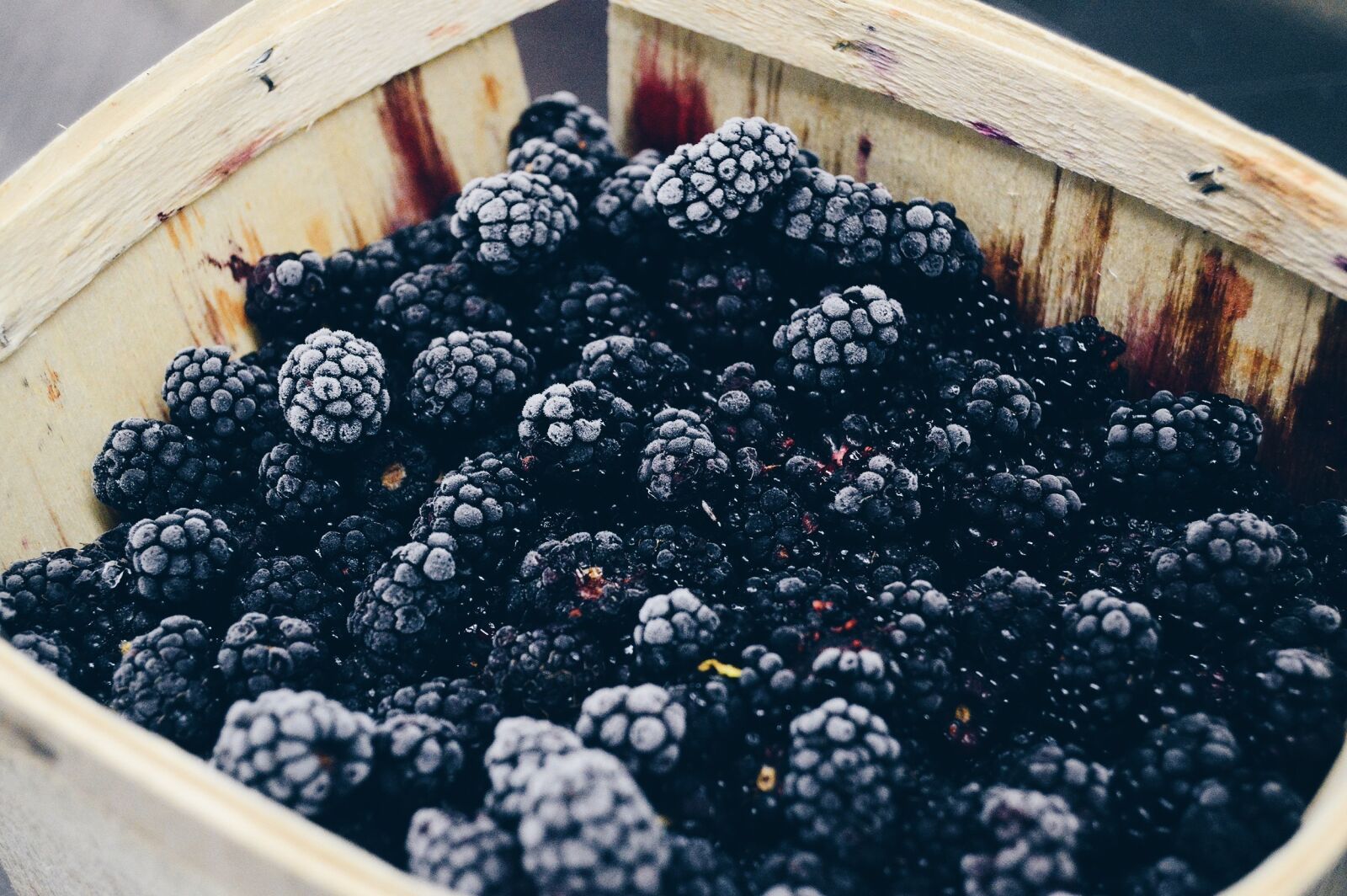 Nikon D3200 sample photo. Berry, blackberry, close-up photography