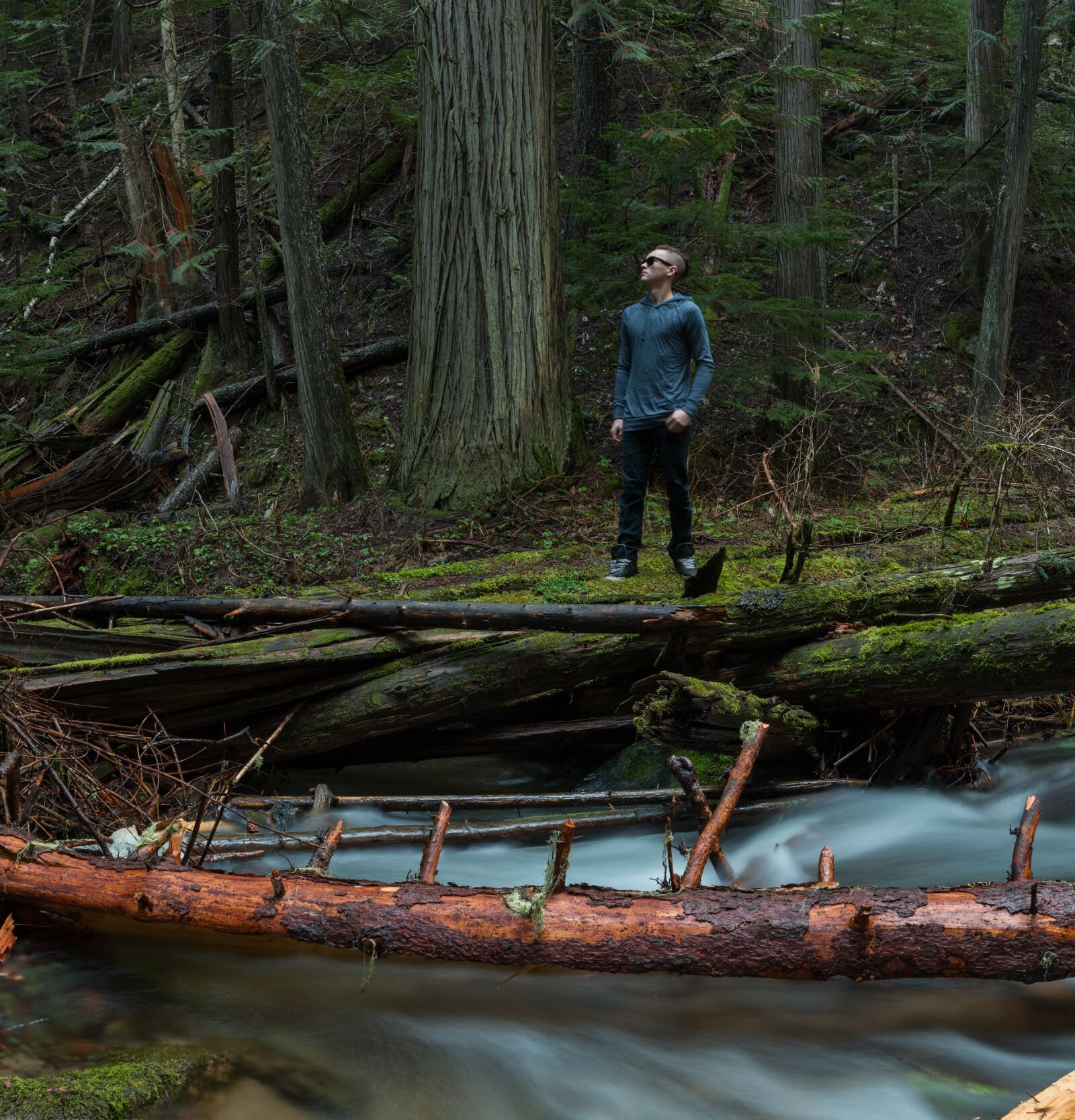 Canon EF 24-70mm F2.8L II USM sample photo. Water, nature, moss photography