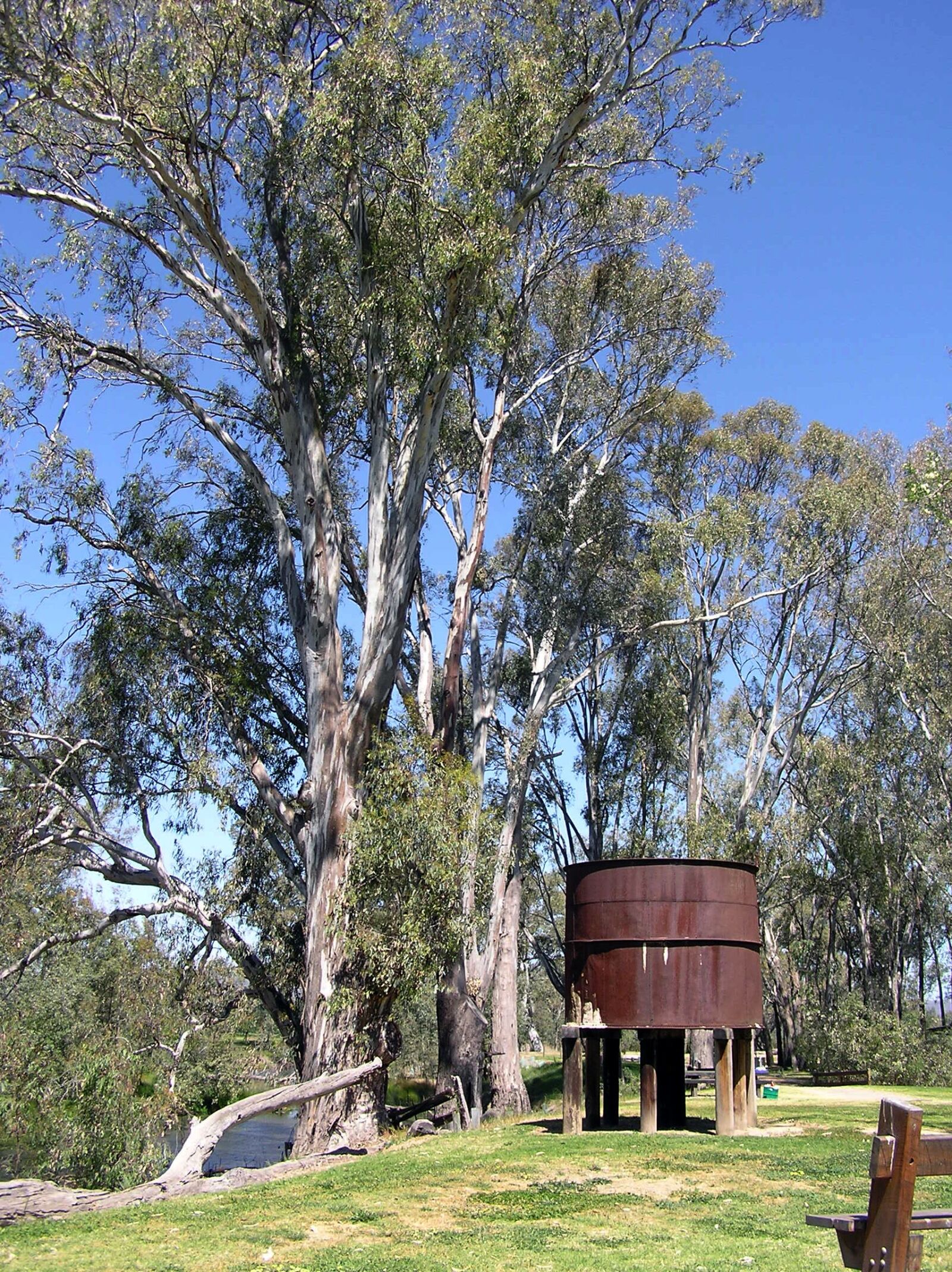 Olympus C750UZ sample photo. Scenery, australian, farm photography