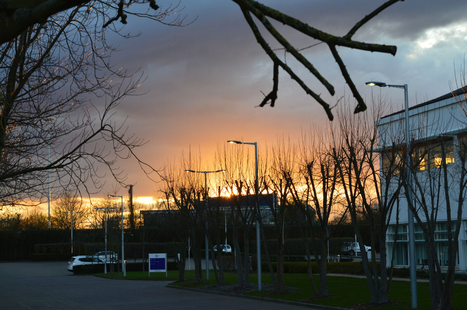 Nikon D3200 sample photo