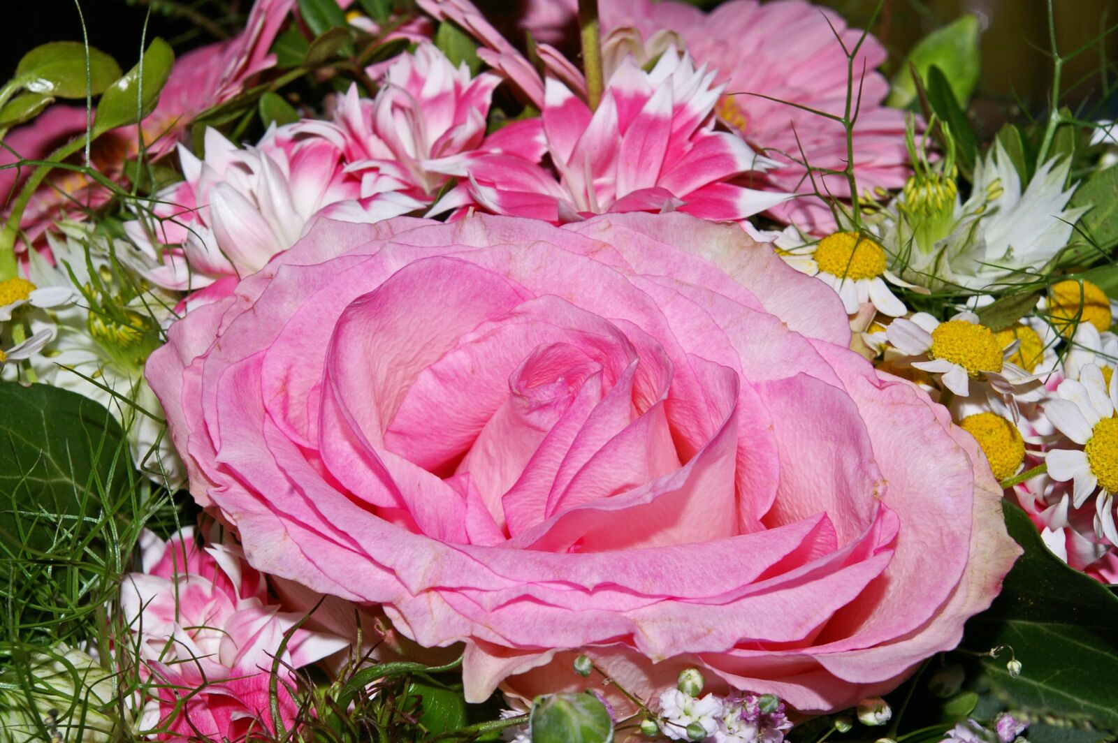 Pentax *ist DL2 sample photo. Rose, bouquet, flowers photography