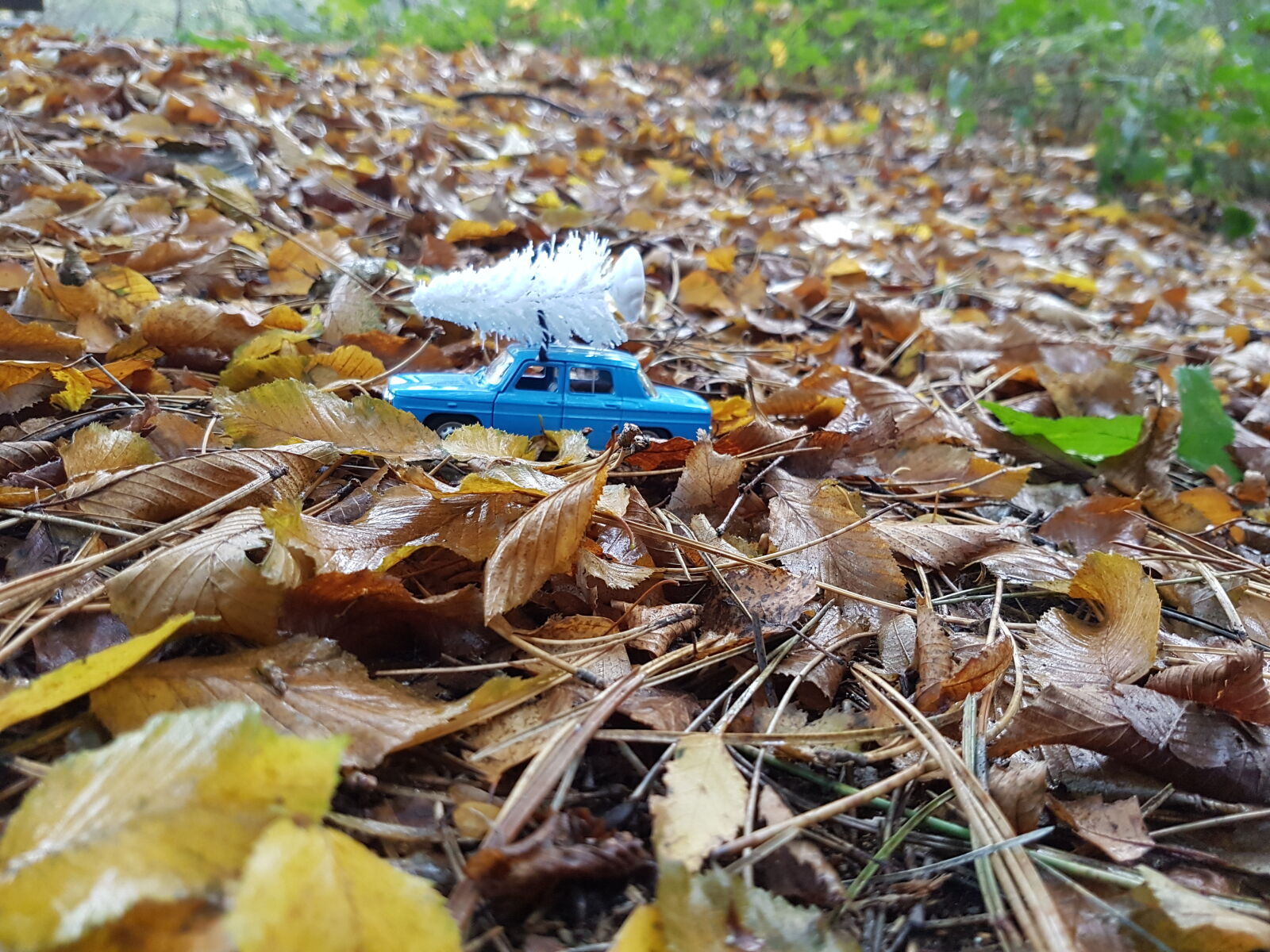 Samsung Galaxy S7 sample photo. Car, christmas, tree, leafs photography
