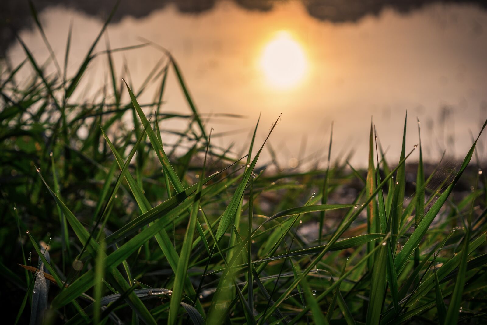 Nikon D5200 sample photo. Sun, water, sky photography