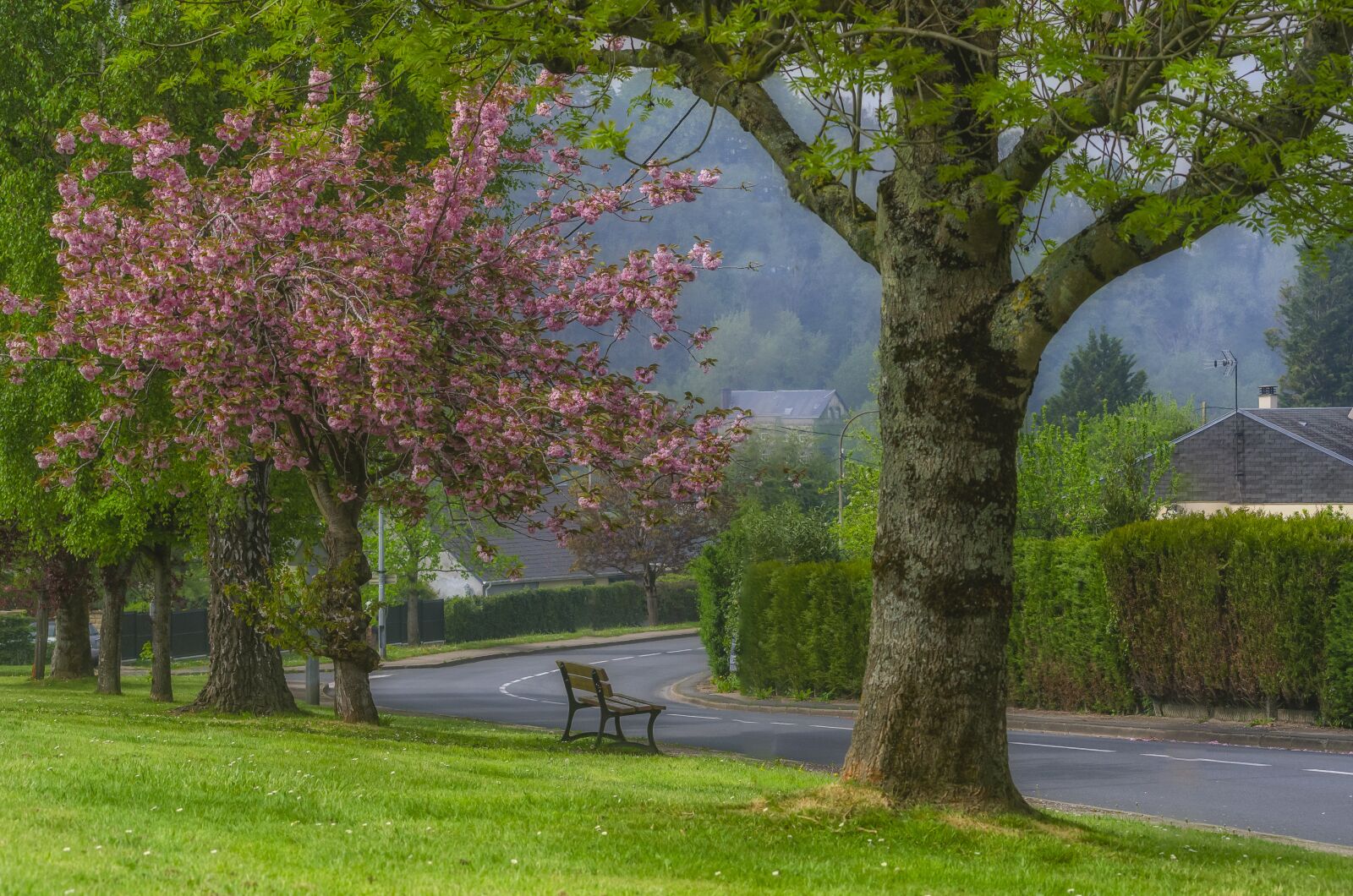 Nikon D7000 sample photo. Epouville, bench, cherry photography