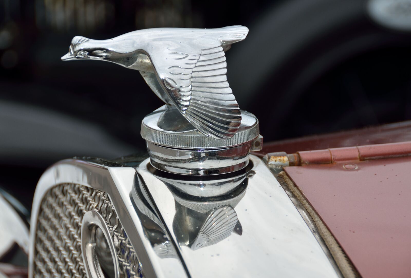 Nikon D7000 sample photo. Vintage, hood ornament, car photography