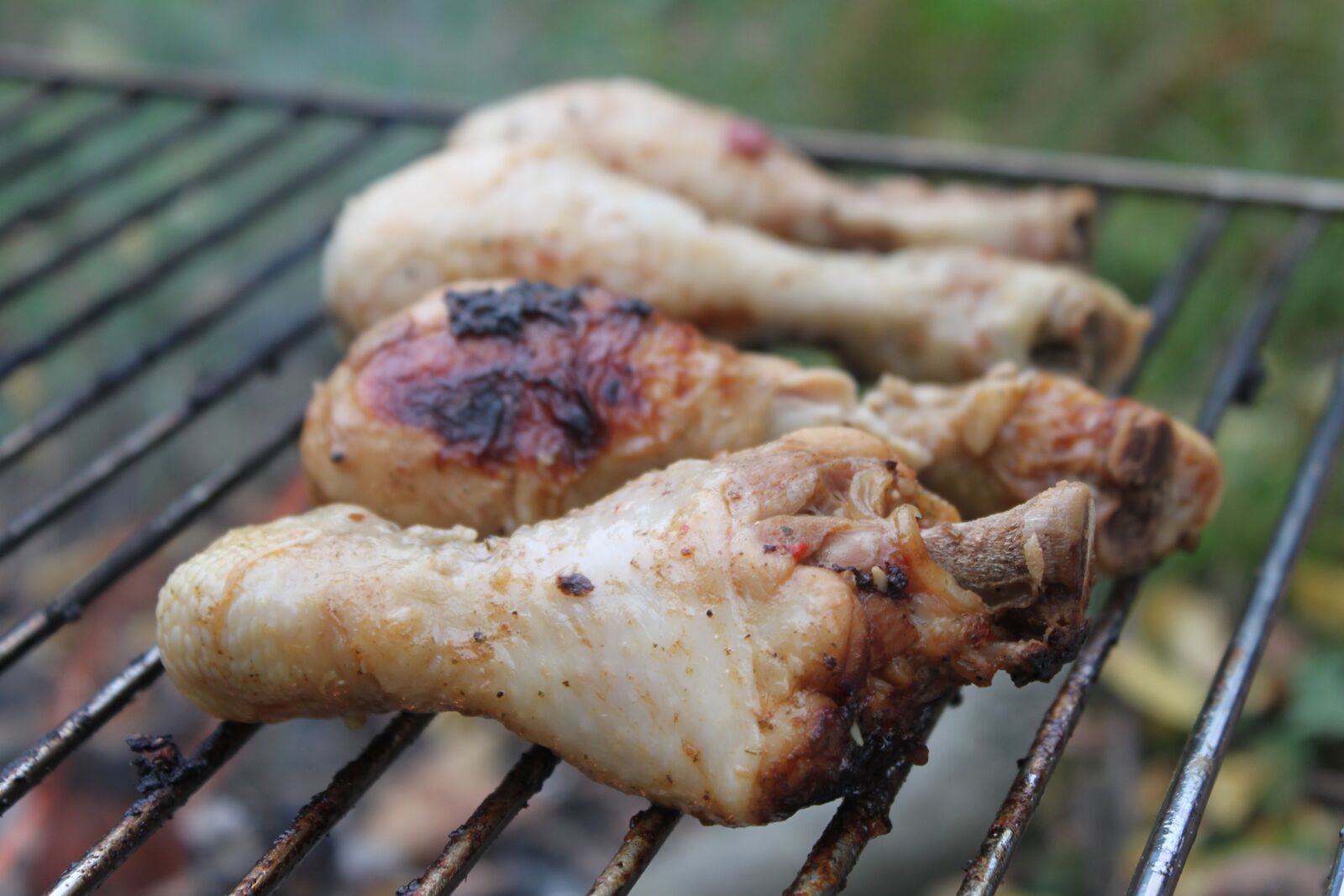 Canon EOS 500D (EOS Rebel T1i / EOS Kiss X3) sample photo. Fire, grilling, steak photography