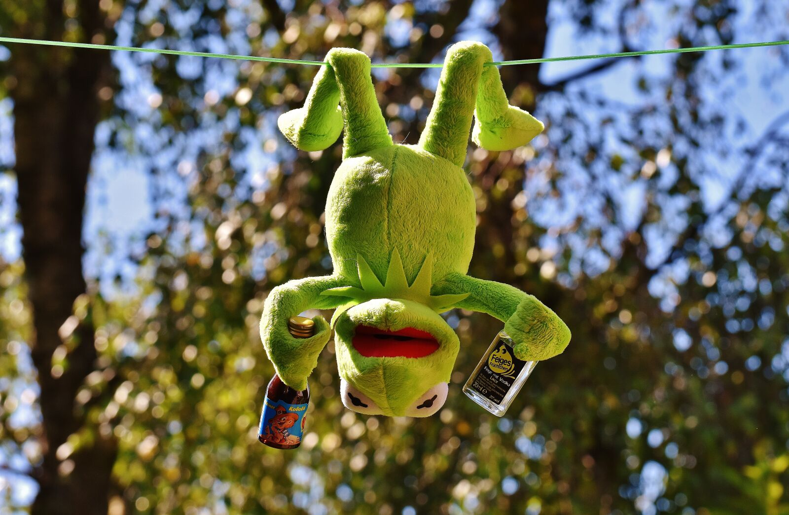 Nikon D7200 sample photo. Kermit, frog, drink photography