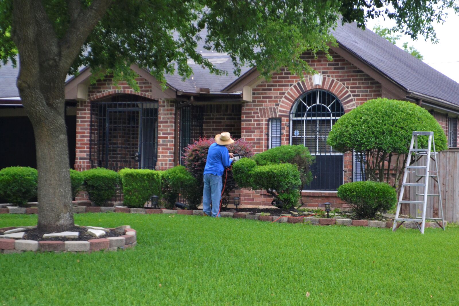 Nikon D3100 sample photo. Gardener, hedge, trimming photography