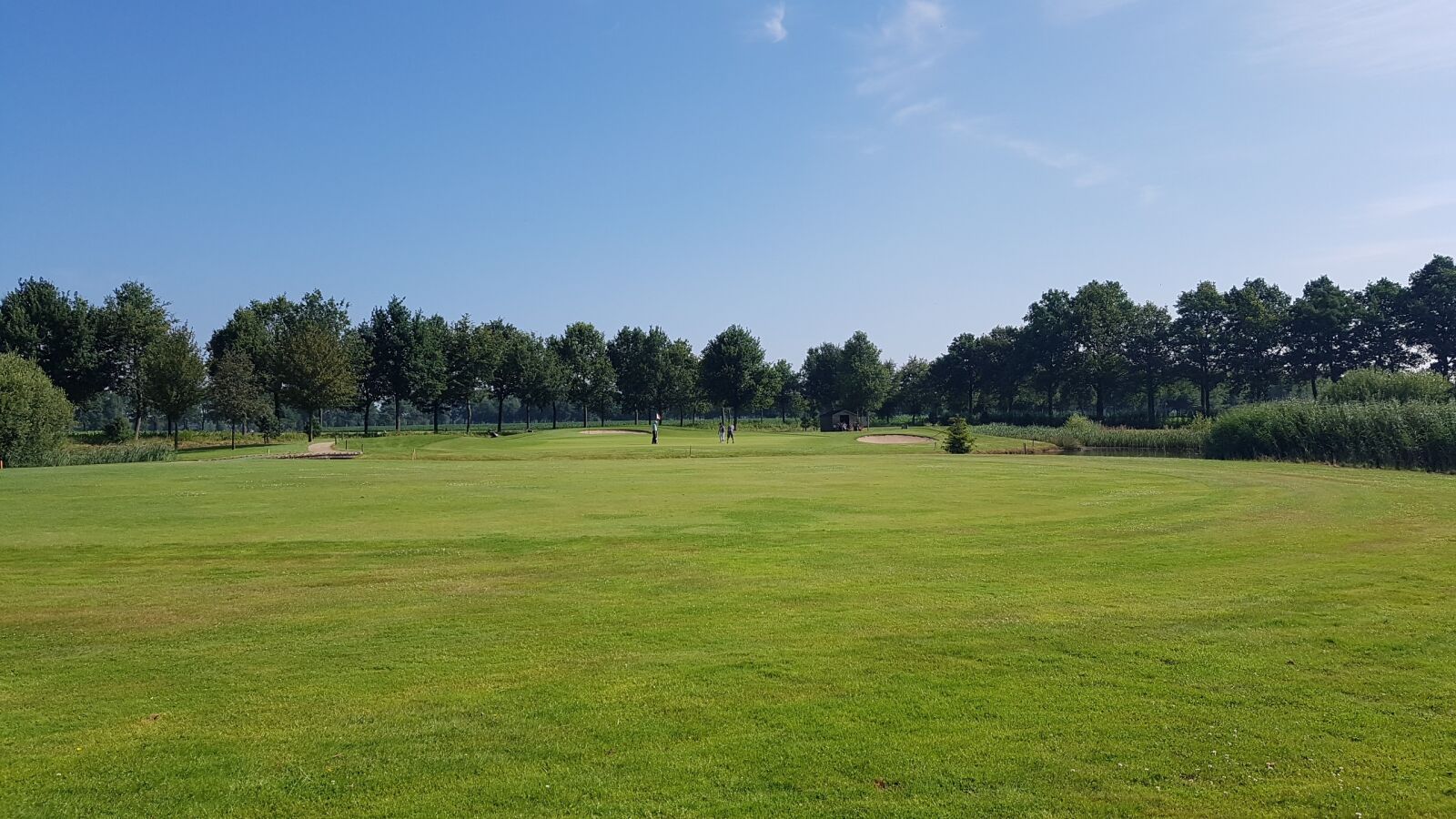 Samsung Galaxy S7 Edge sample photo. Golf, golf course, sports photography