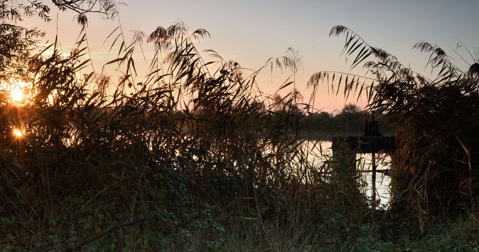 Nikon D750 sample photo. Nature, tree, dawn photography